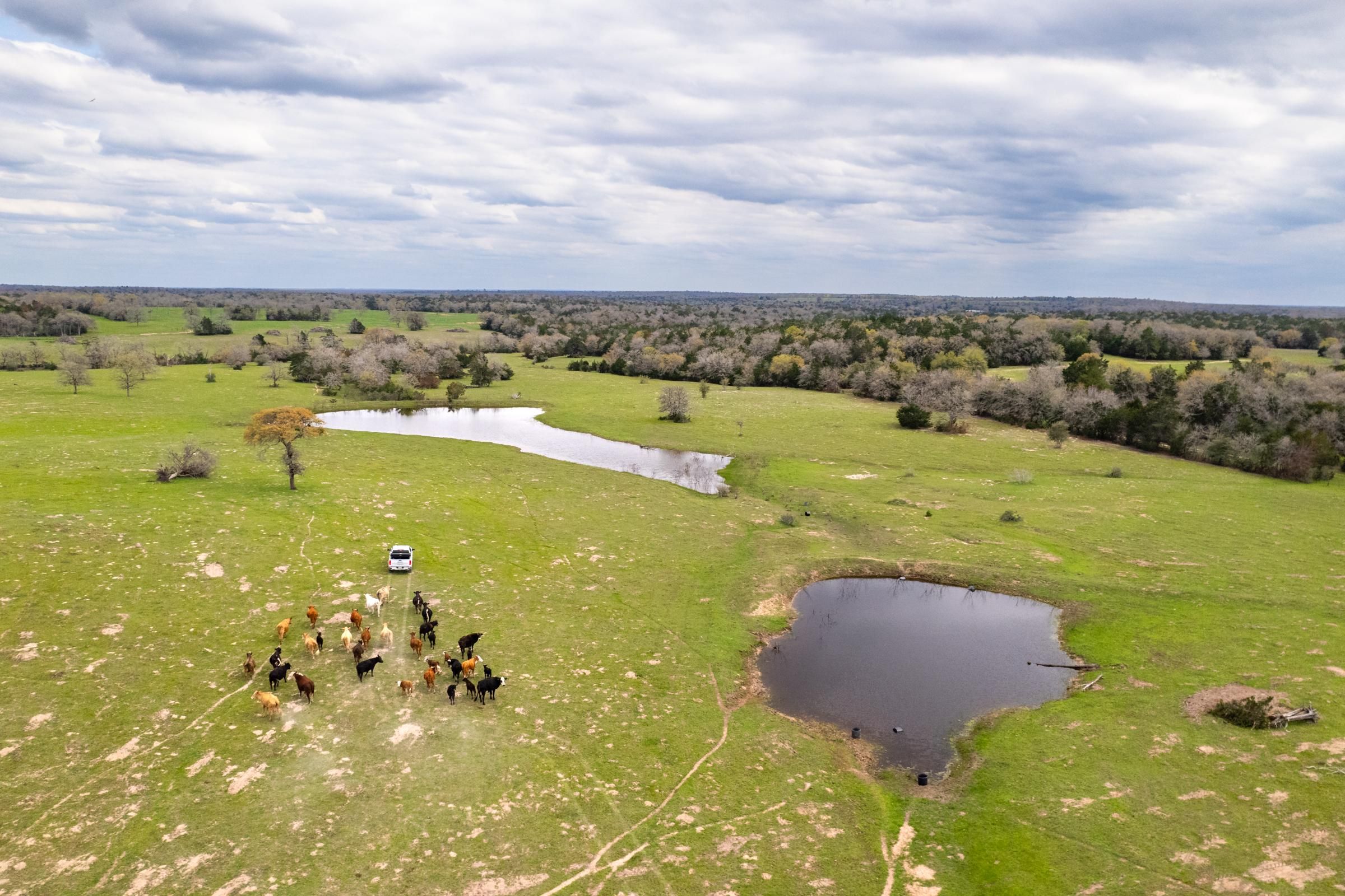 3987 Texas 304, Rosanky, TX 78953