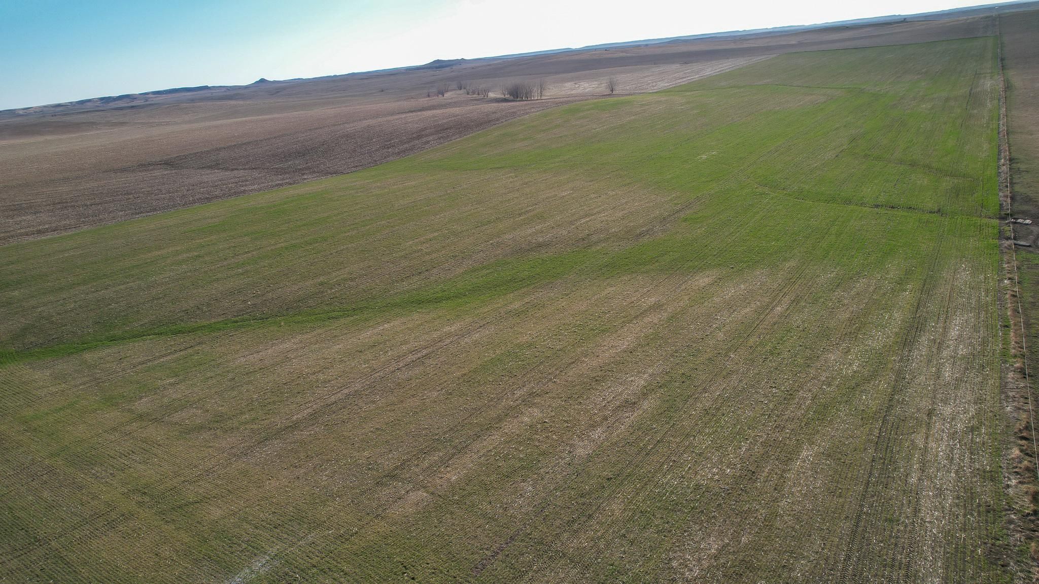 160 acres in Tripp County, South Dakota