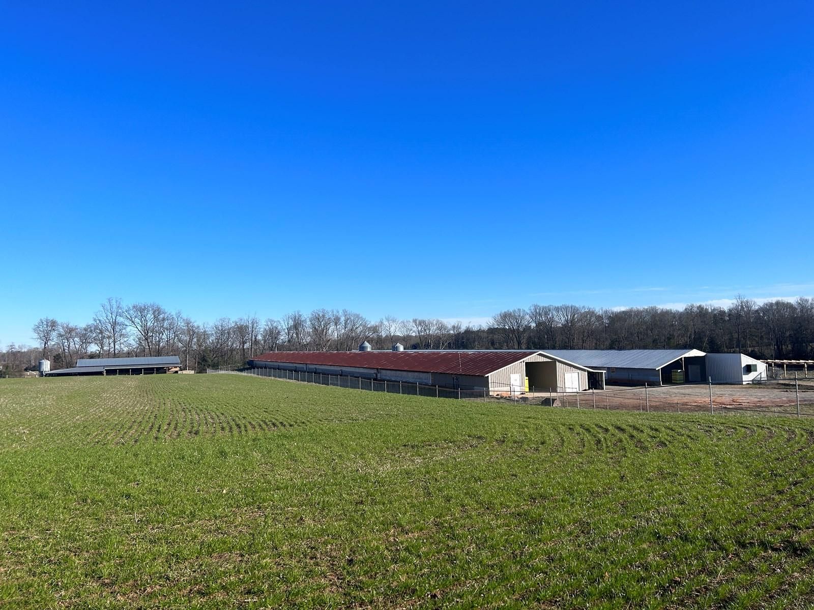 19.5 acres in Yadkin County, North Carolina