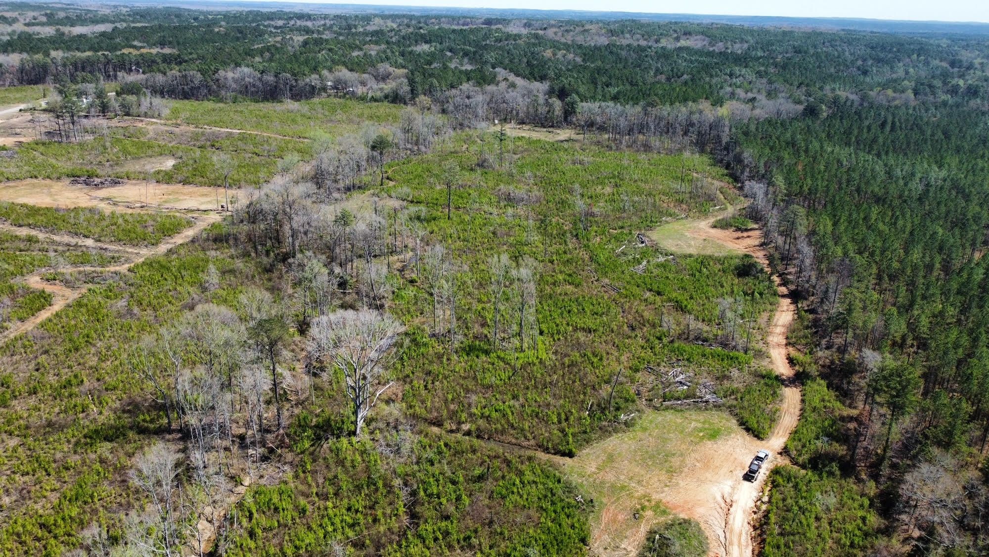 40 Acres, Attala County, MS, Durant, MS 39192