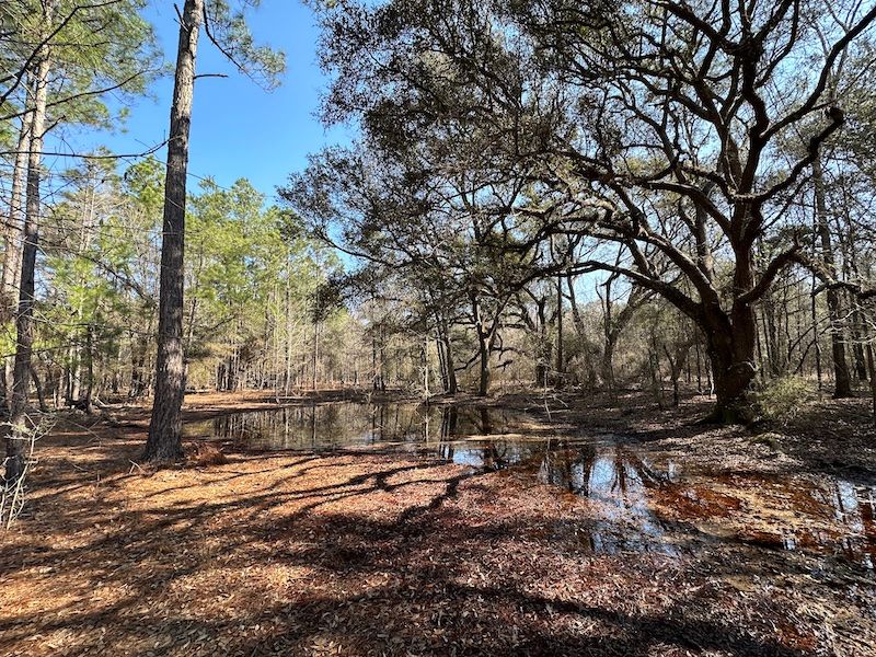 91.65 acres in Baker County,