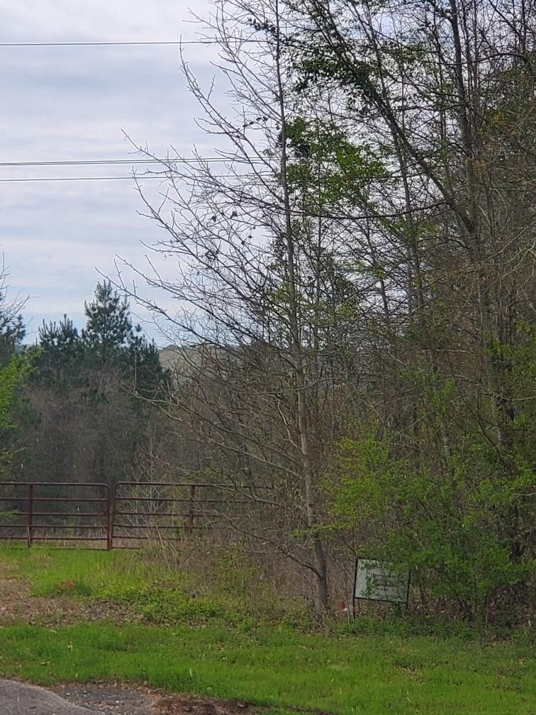 N/A N FM 95, Garrison, TX 75946 MLS 22400377