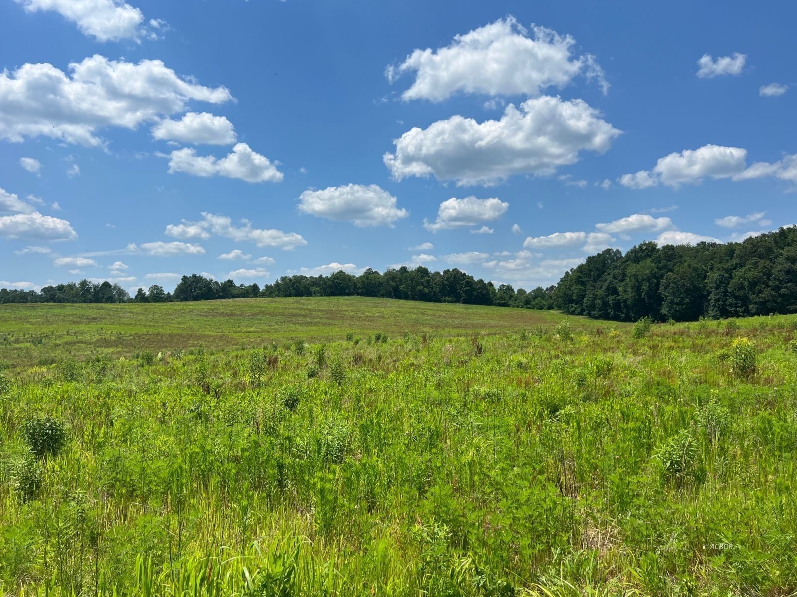 10 acres in Meigs County, Ohio