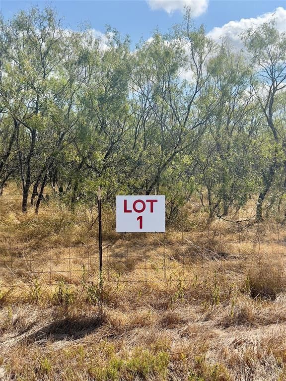 Tbd S State Highway 80 Avenue, Nixon, TX 78140 MLS 20360128