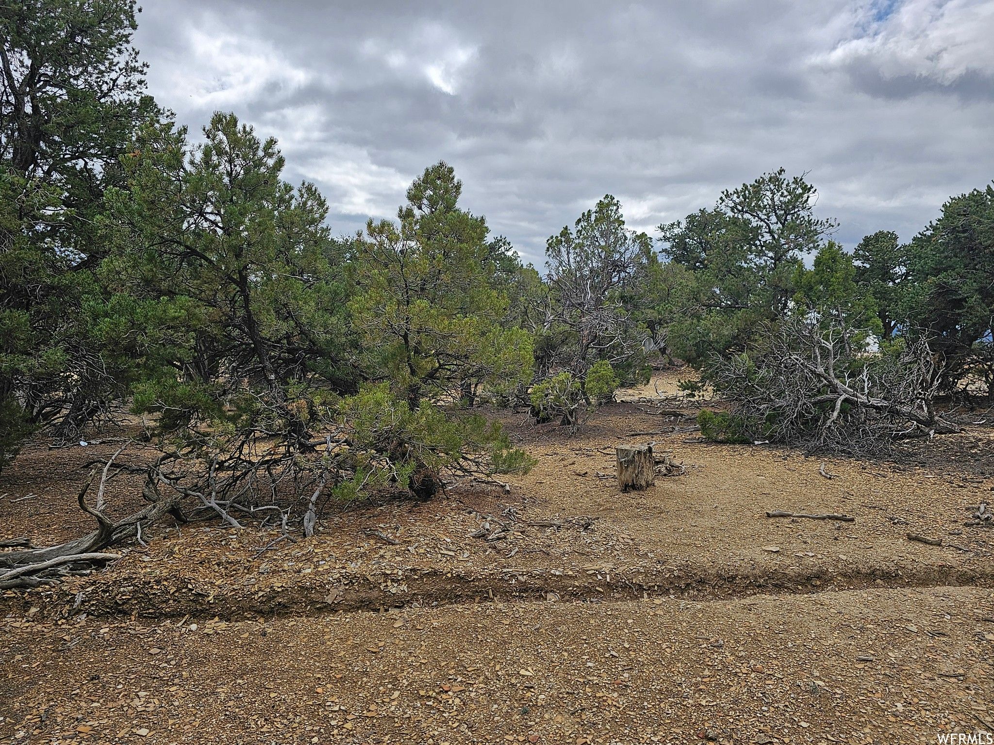 10 acres in Duchesne County, Utah