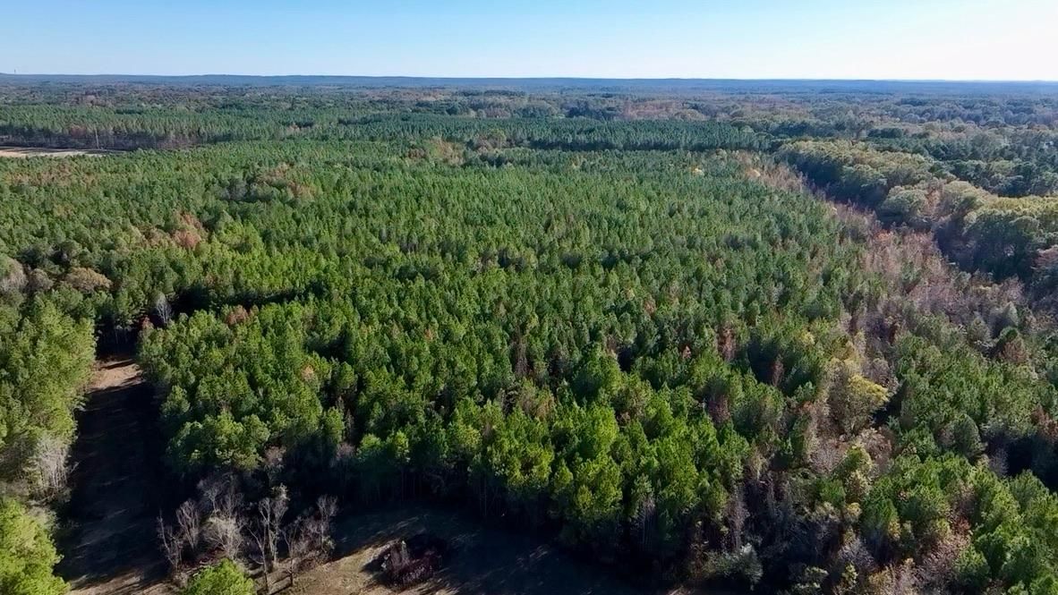 Trickhambridge Cove, Brandon, MS 39042 MLS 4065132