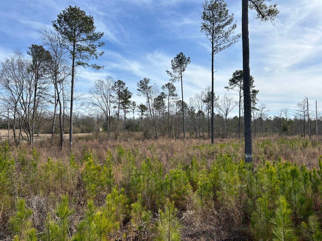 36.08 acres in Baldwin County,