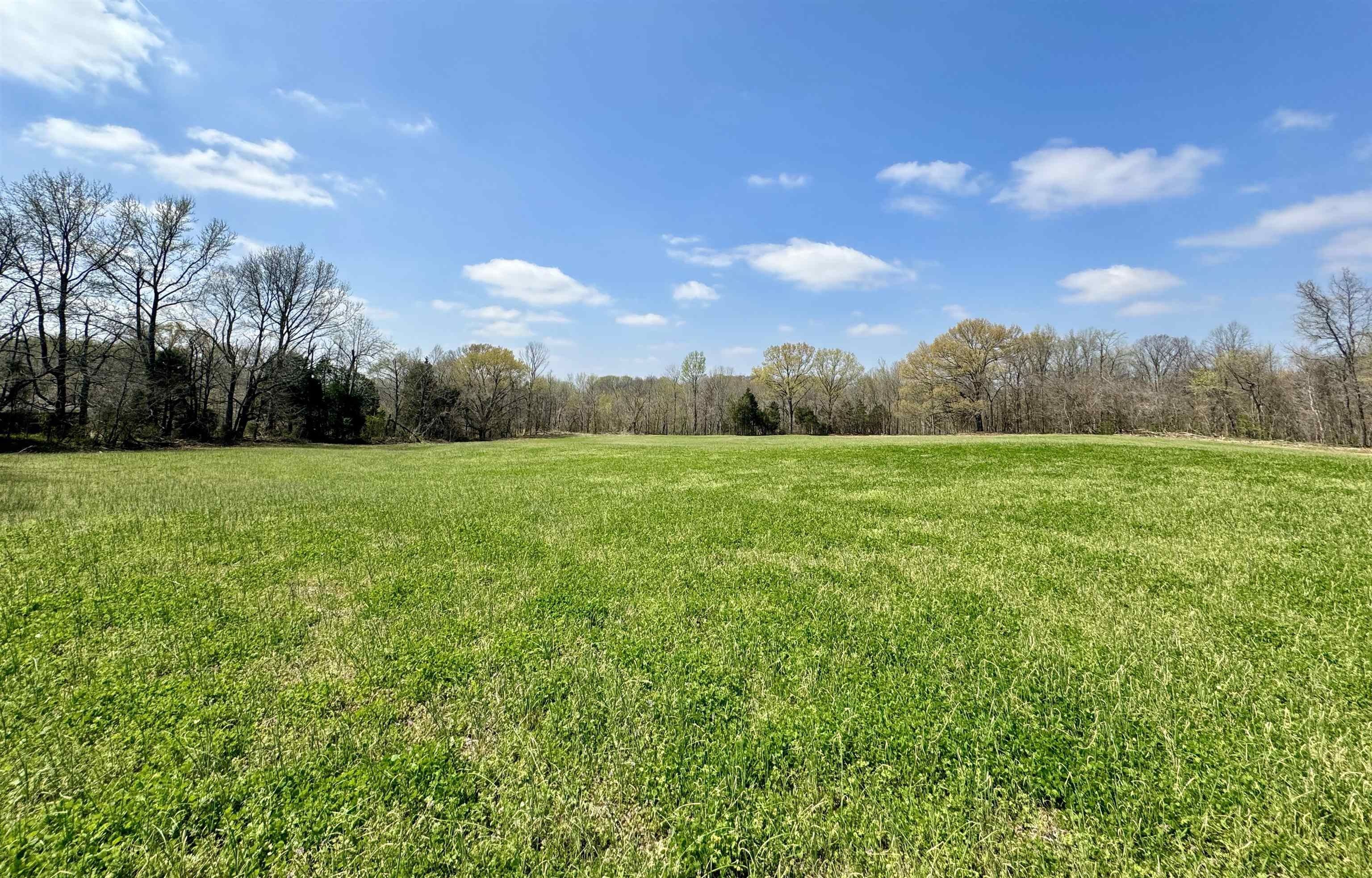 7 acres in Lauderdale County, Tennessee