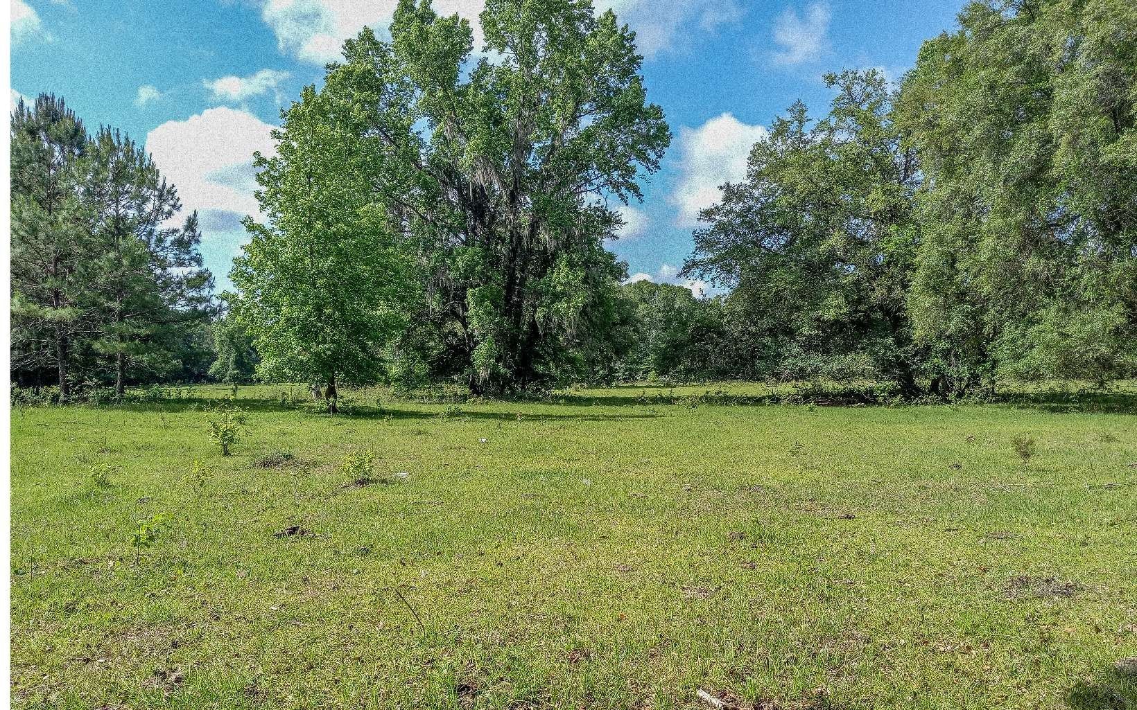 23.37 acres in Columbia County, Florida