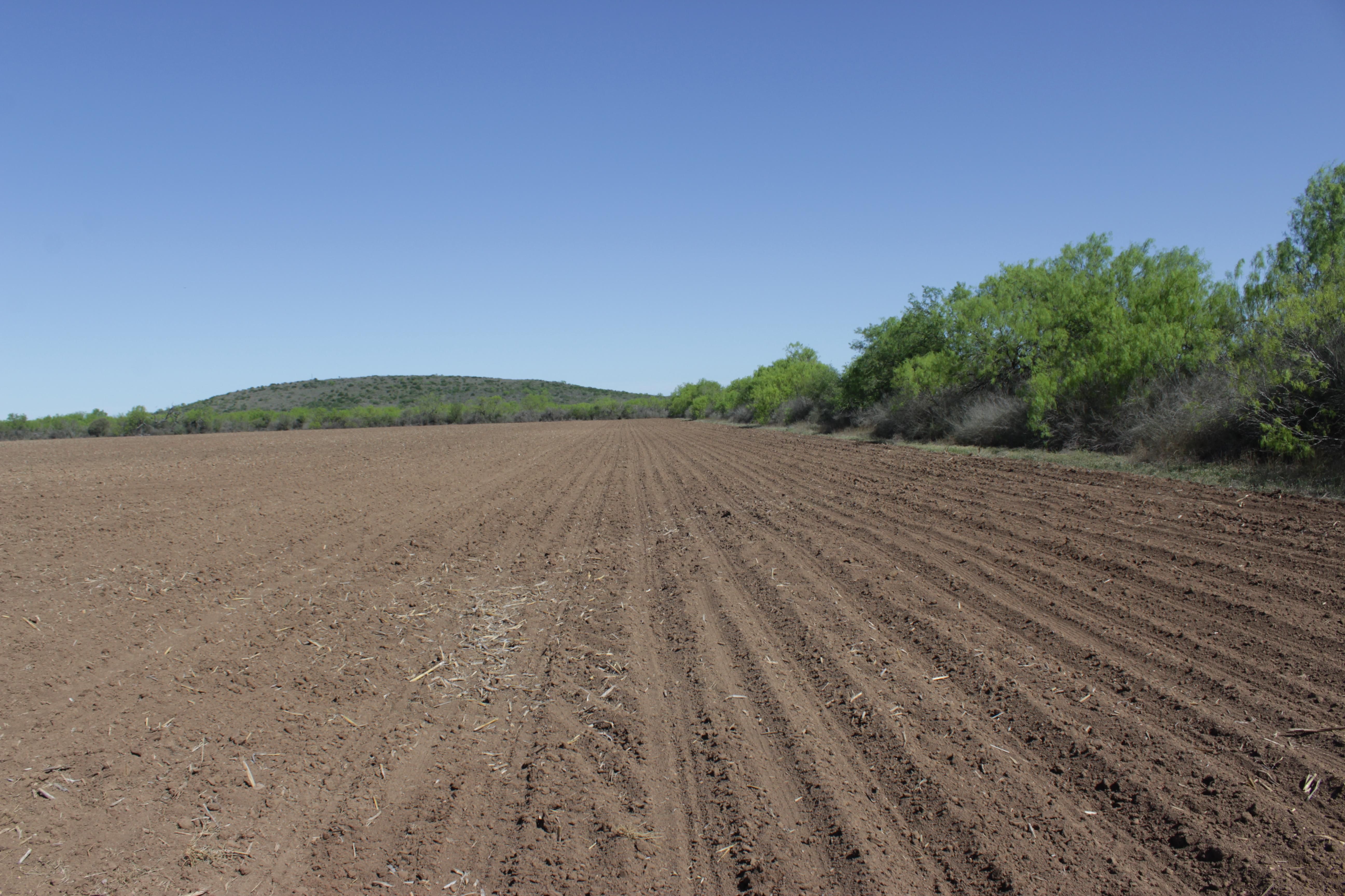 N CR 345, Knippa, TX 78870 MLS 1761703