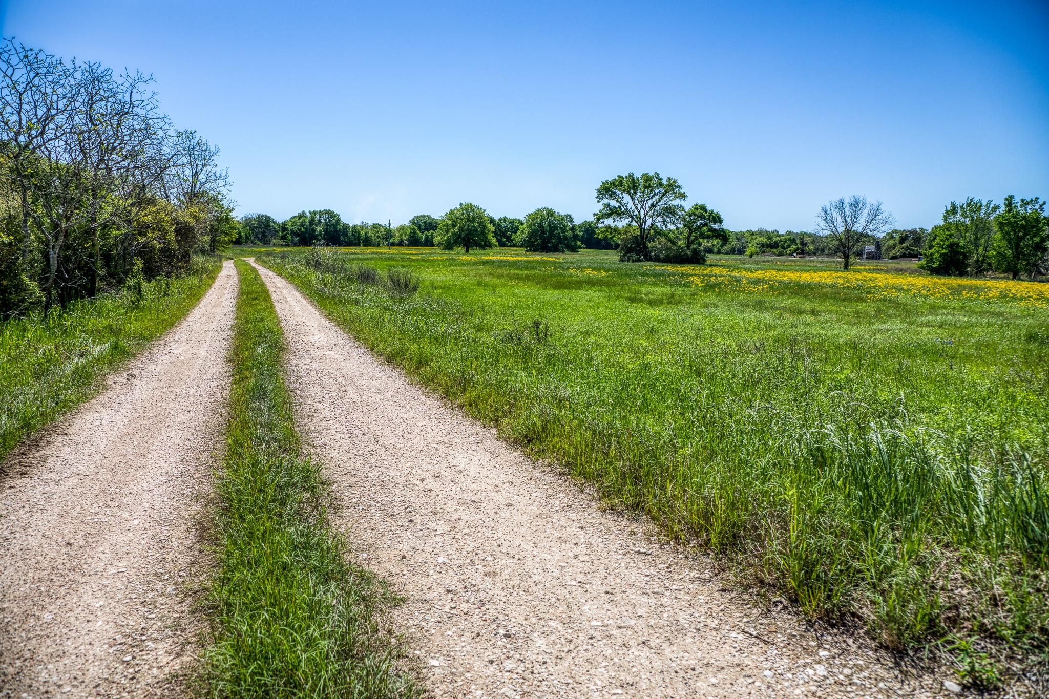 4448 County Road 430, Dime Box, TX 77853