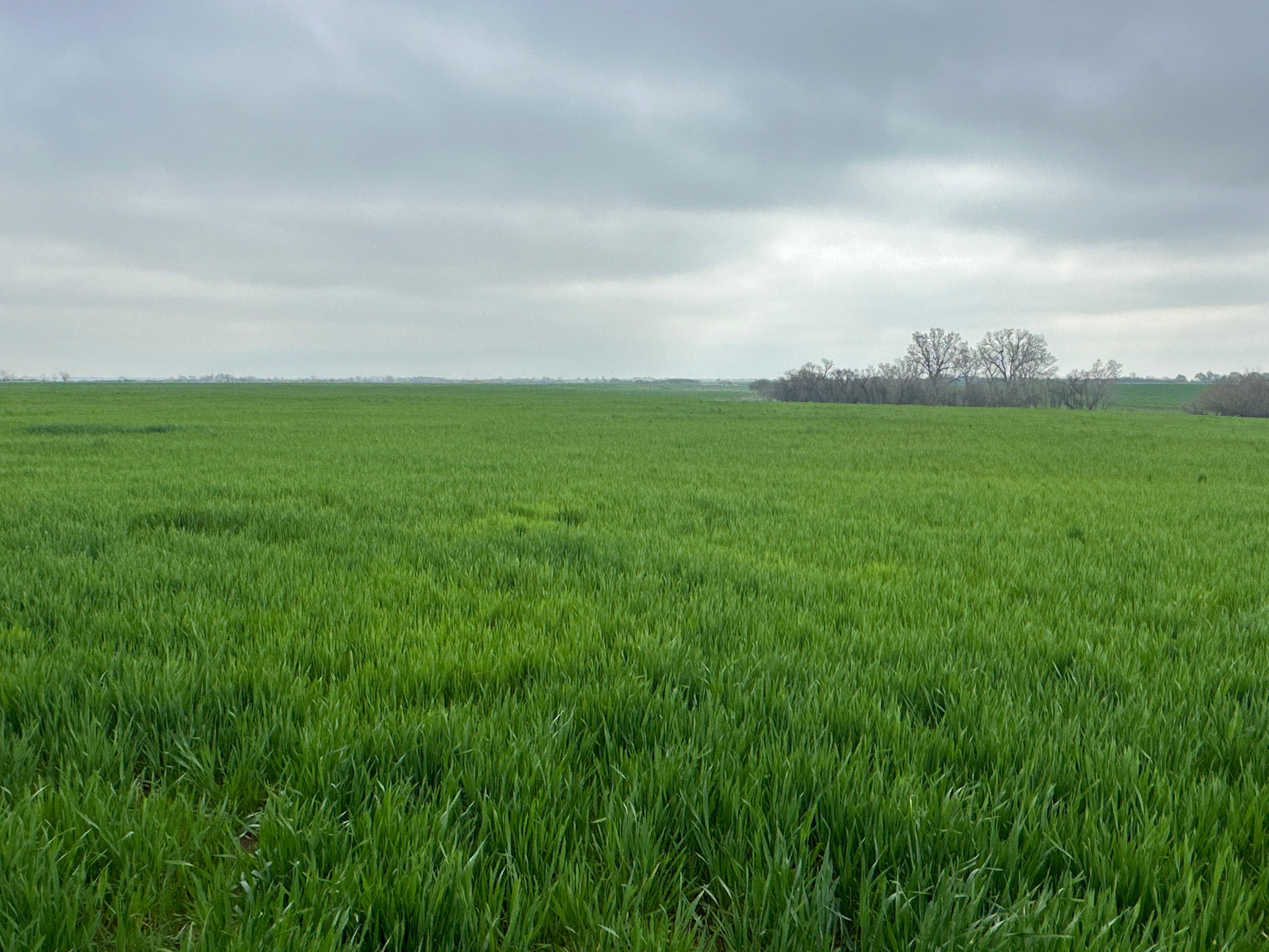 233 acres in Canadian County, Oklahoma