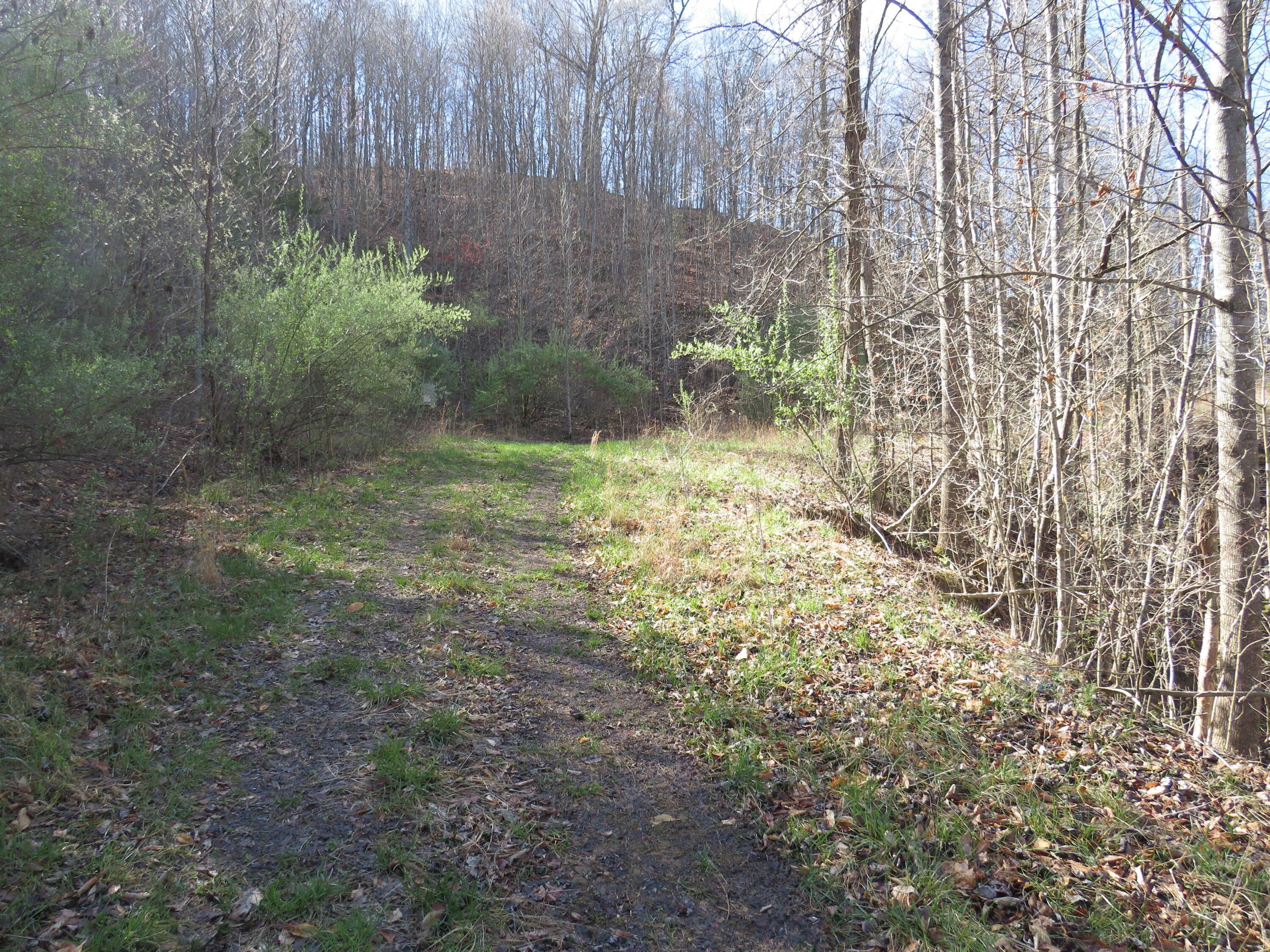40 acres in Leslie County, Kentucky