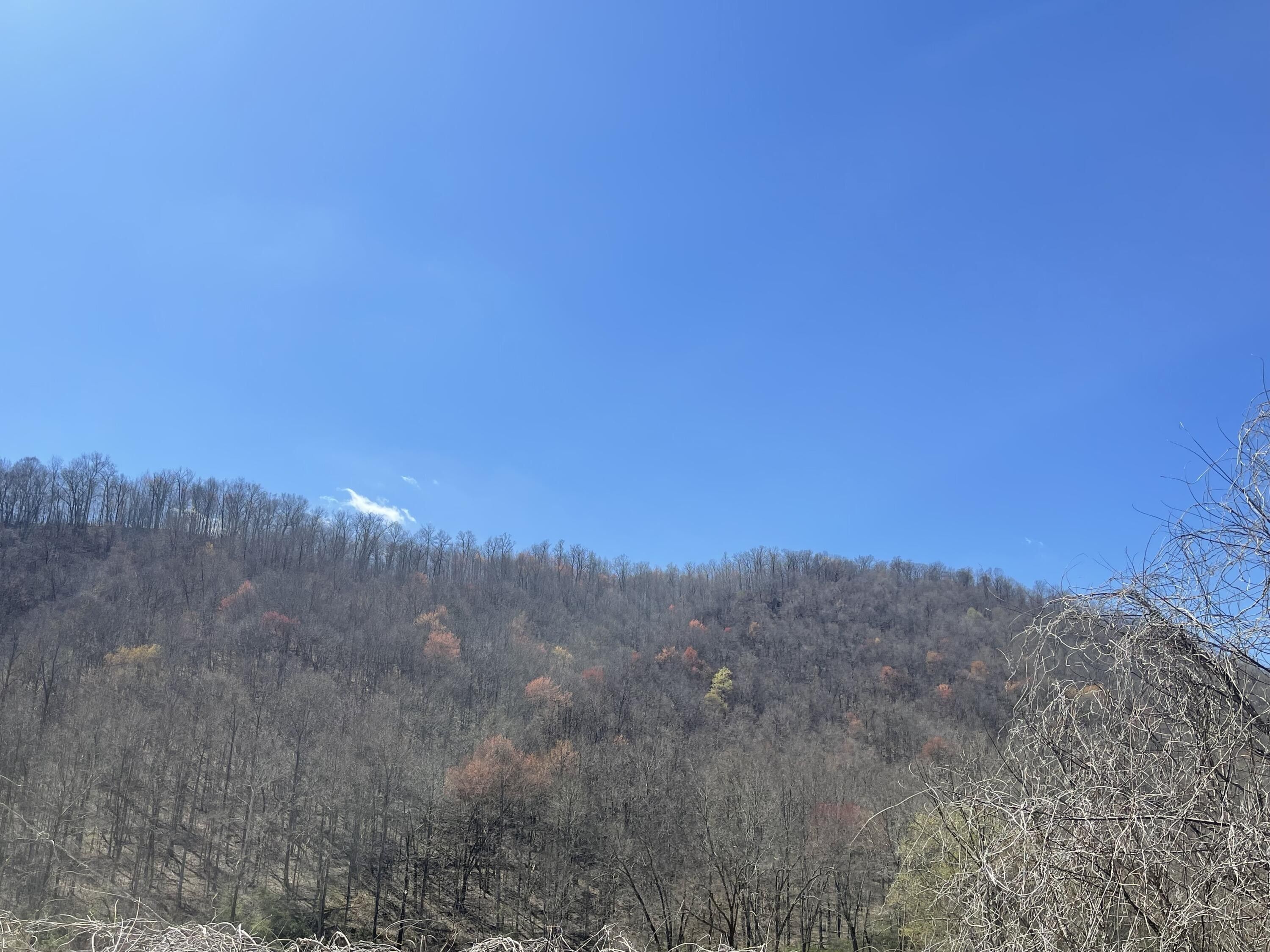 9999 KY 223, Flat Lick, KY 40935 MLS 24005824