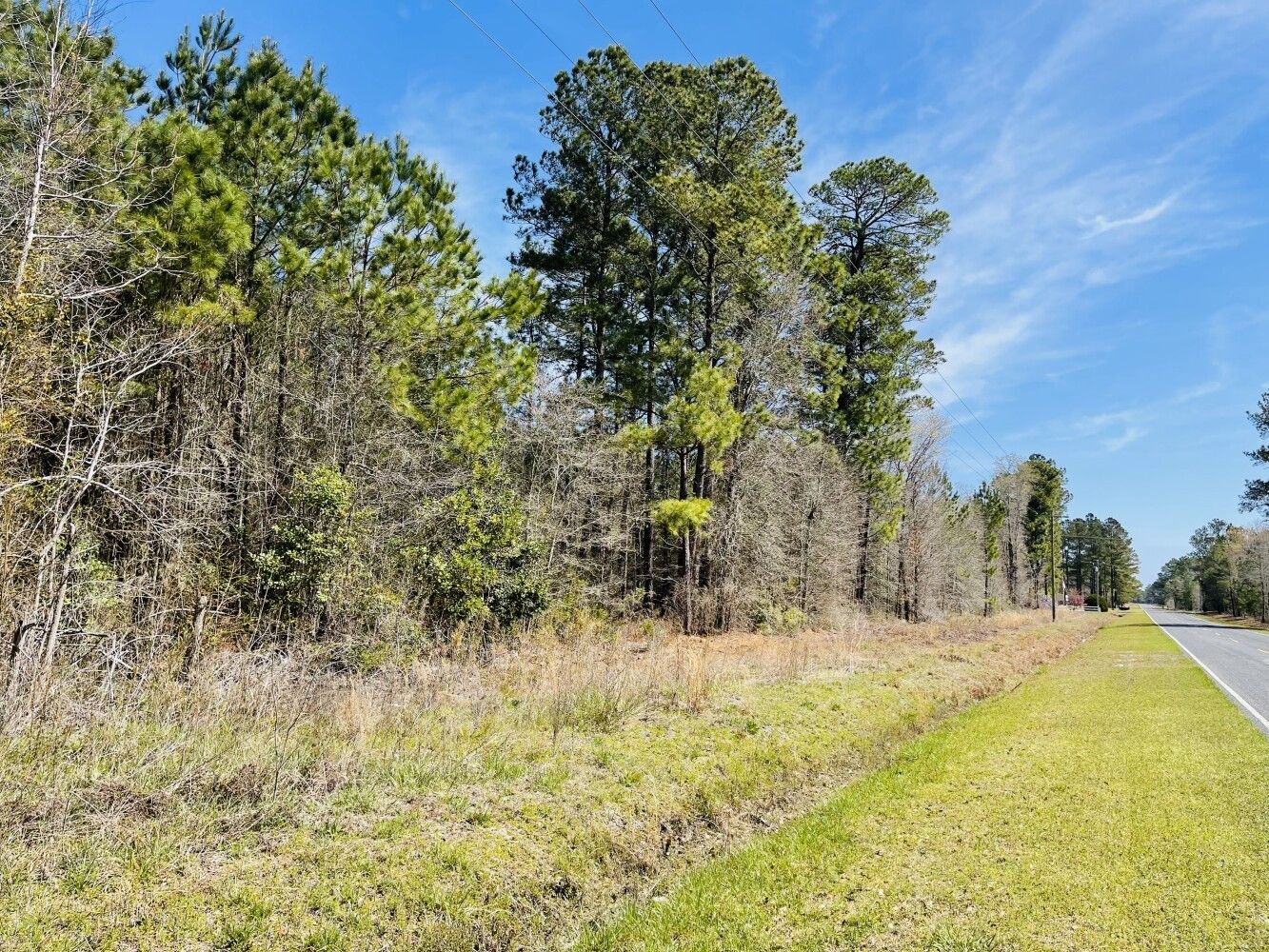 13.5 acres in Bladen County, North Carolina