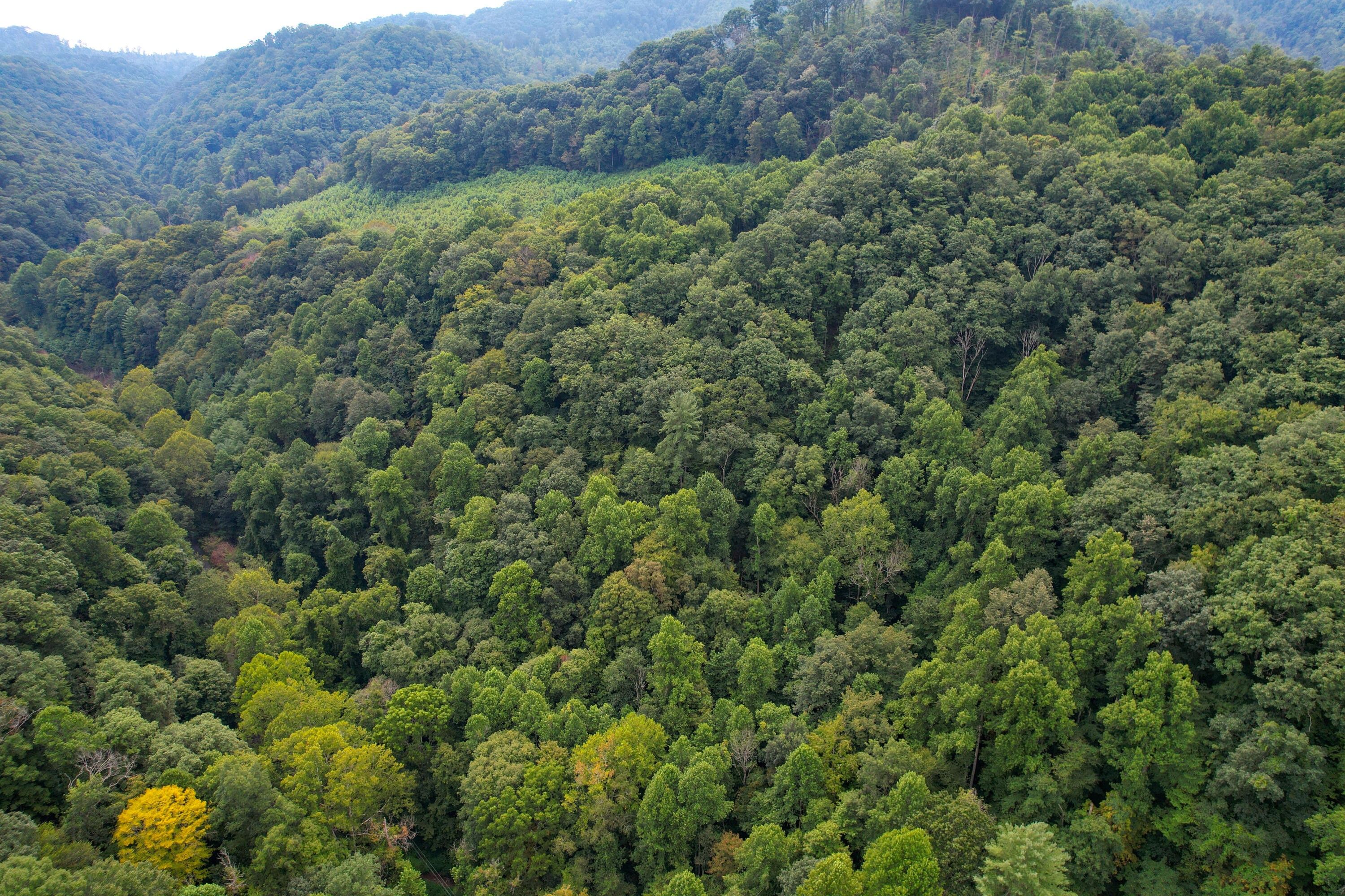 Tbd Livingston Creek, Bristol, VA 24202 MLS 9956034