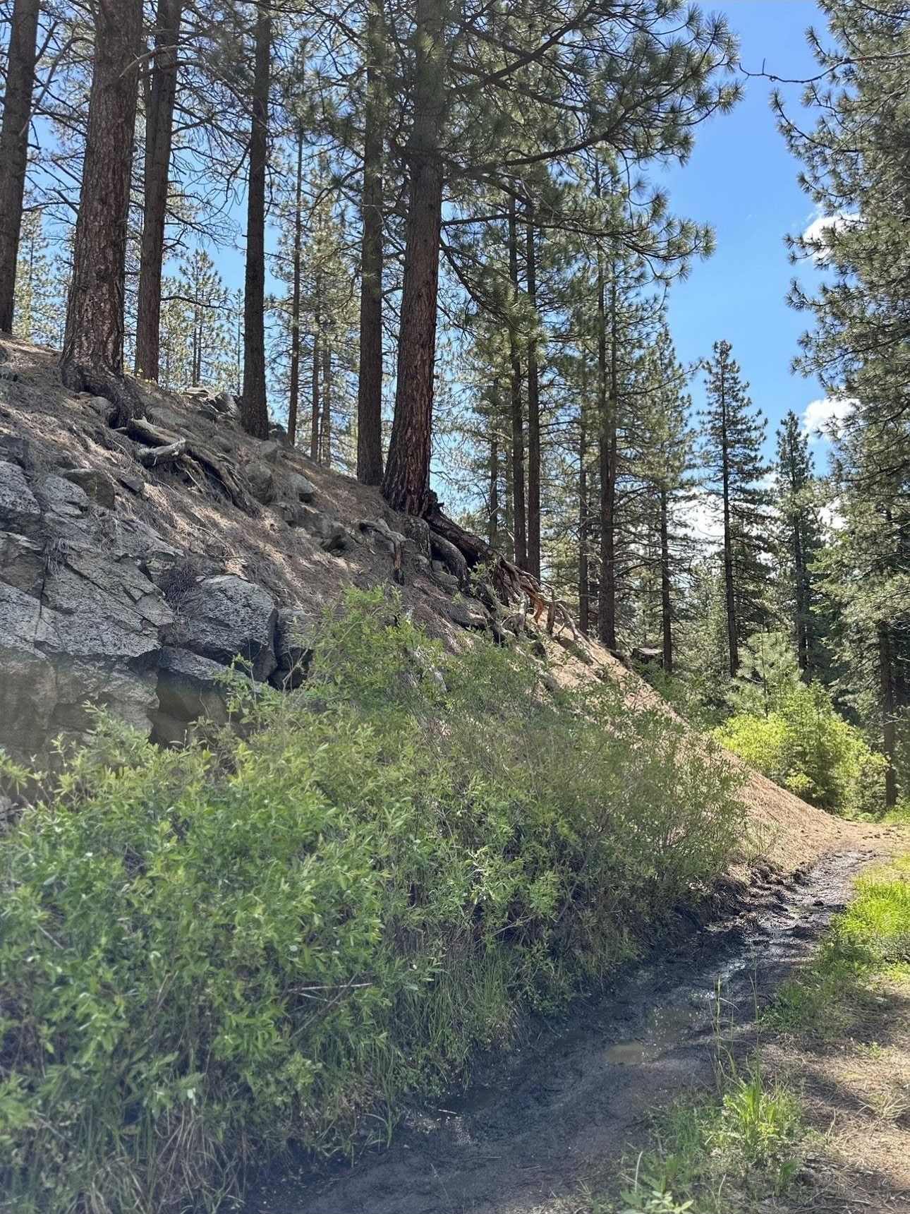 1.1 acres in Plumas County, California