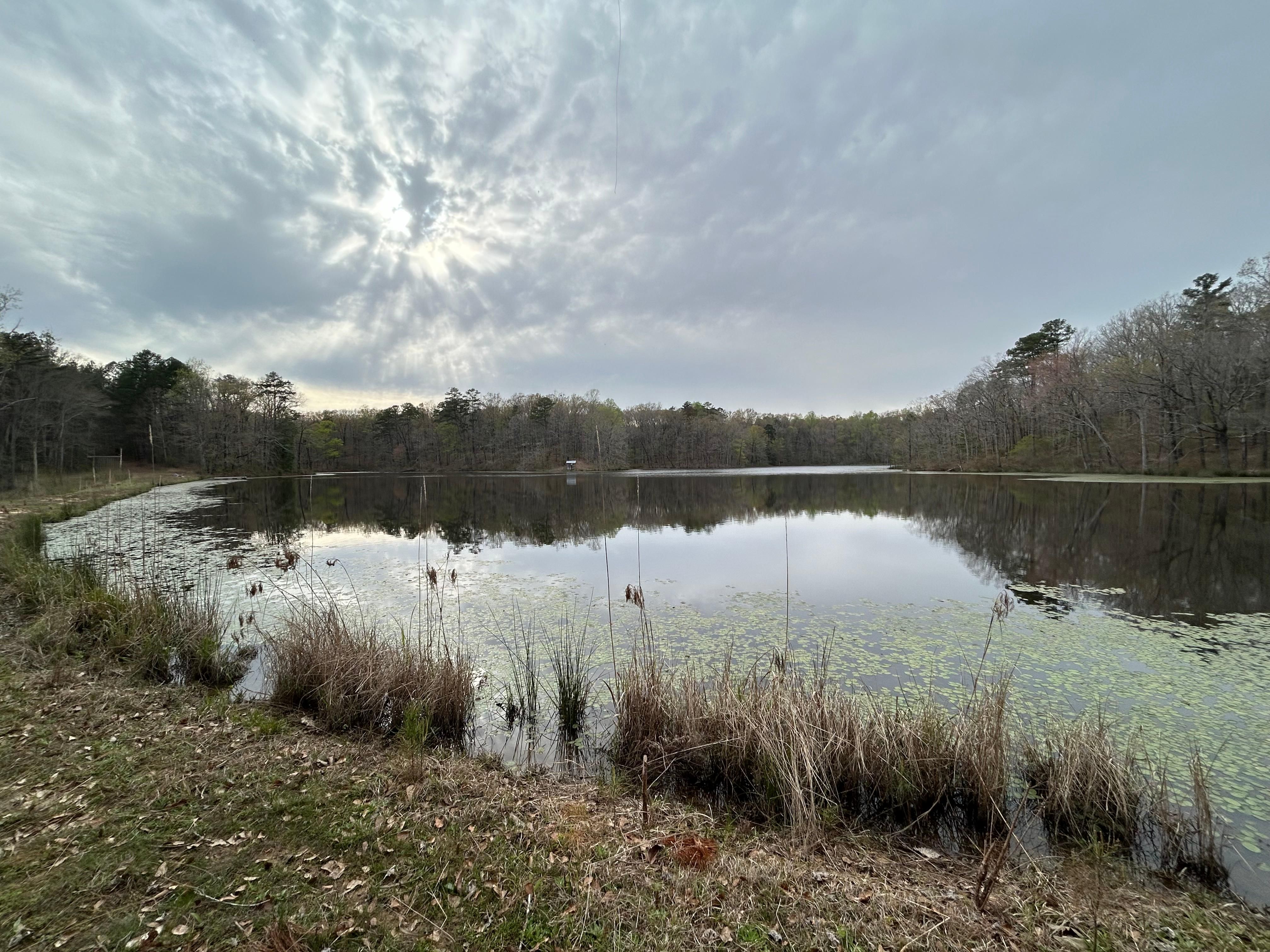 6786 Castalian Springs Road, Durant, MS 39063 MLS 4075413