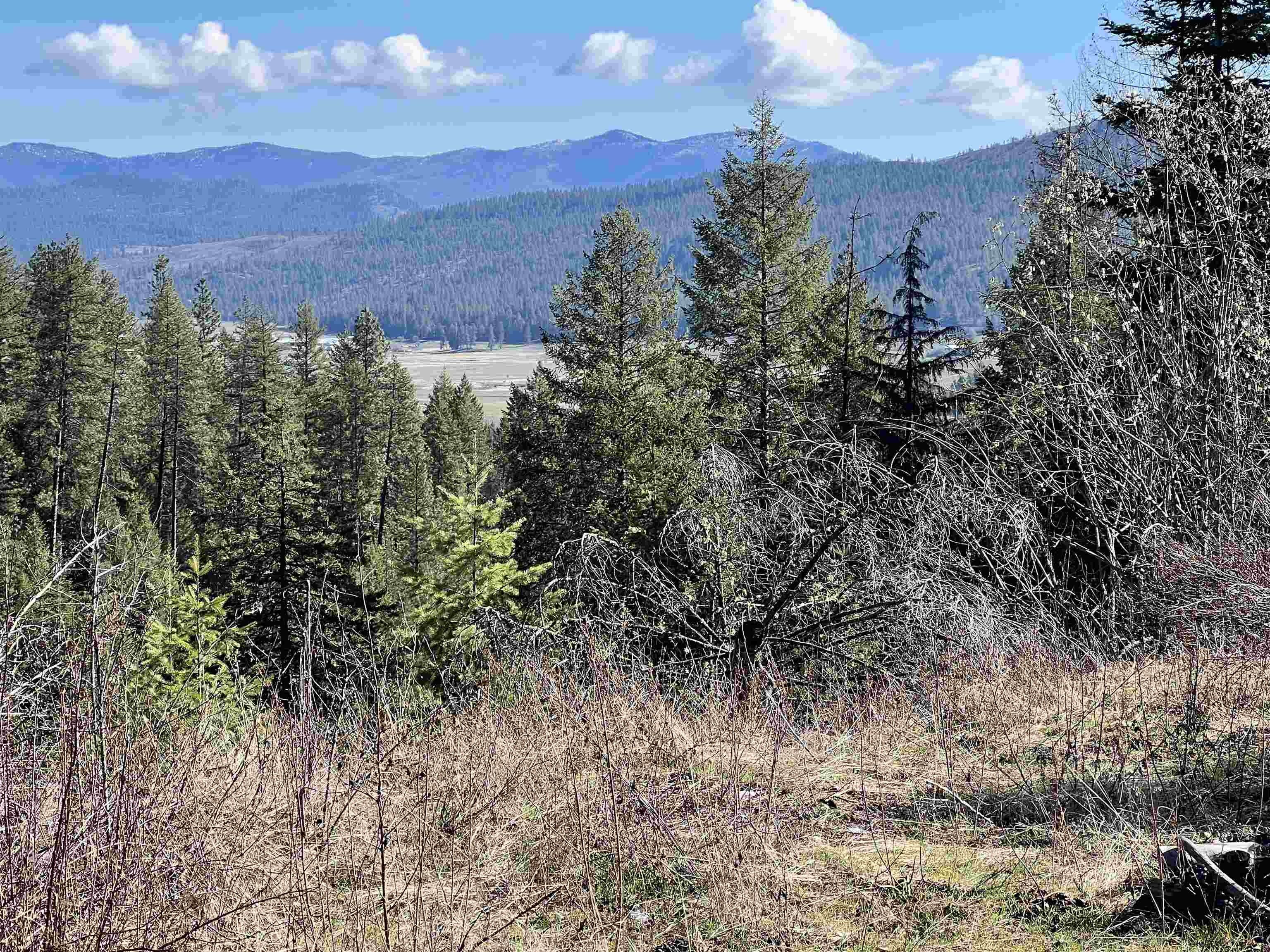 20 acres in Stevens County, Washington