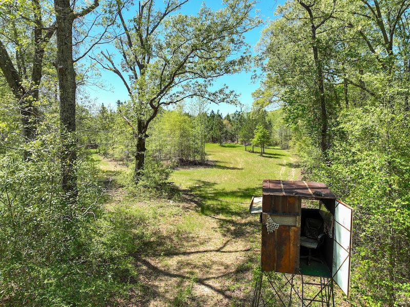 0 Pineville Road, LotWP001, Buena Vista, GA 31803