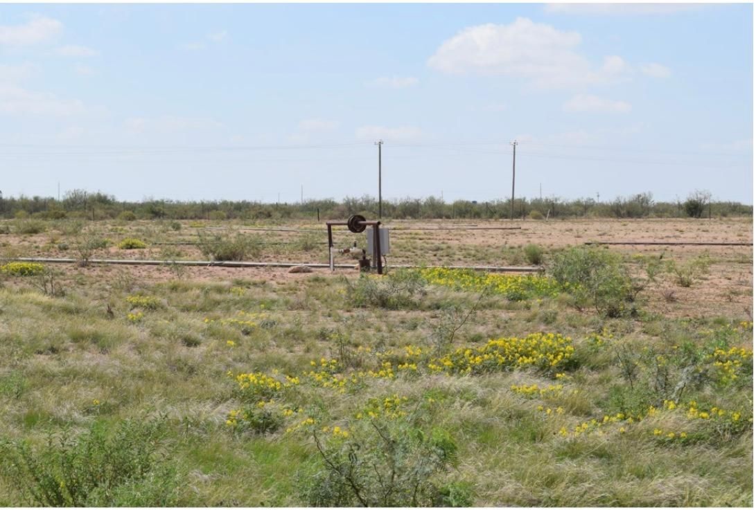 80 acres in Rankin, TX, 79778 MLS U50053984A