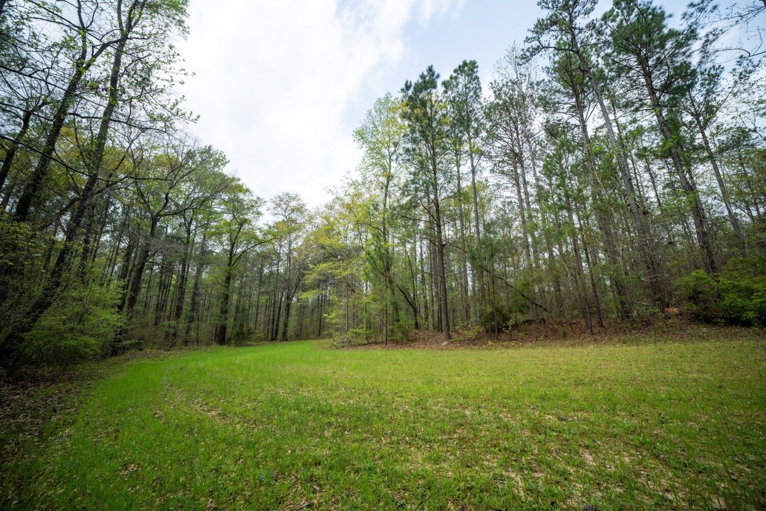 49 acres in Elmore County, Alabama