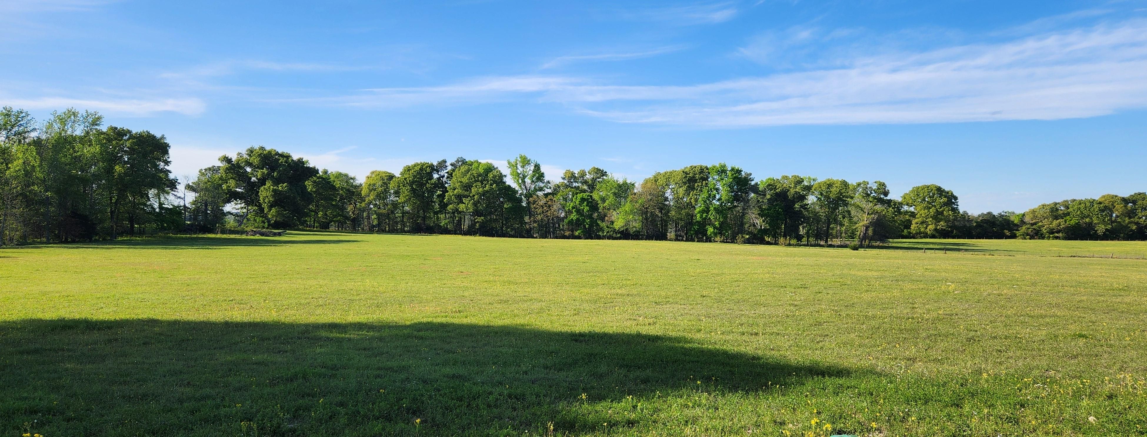 82.5 acres in Anderson County, Texas