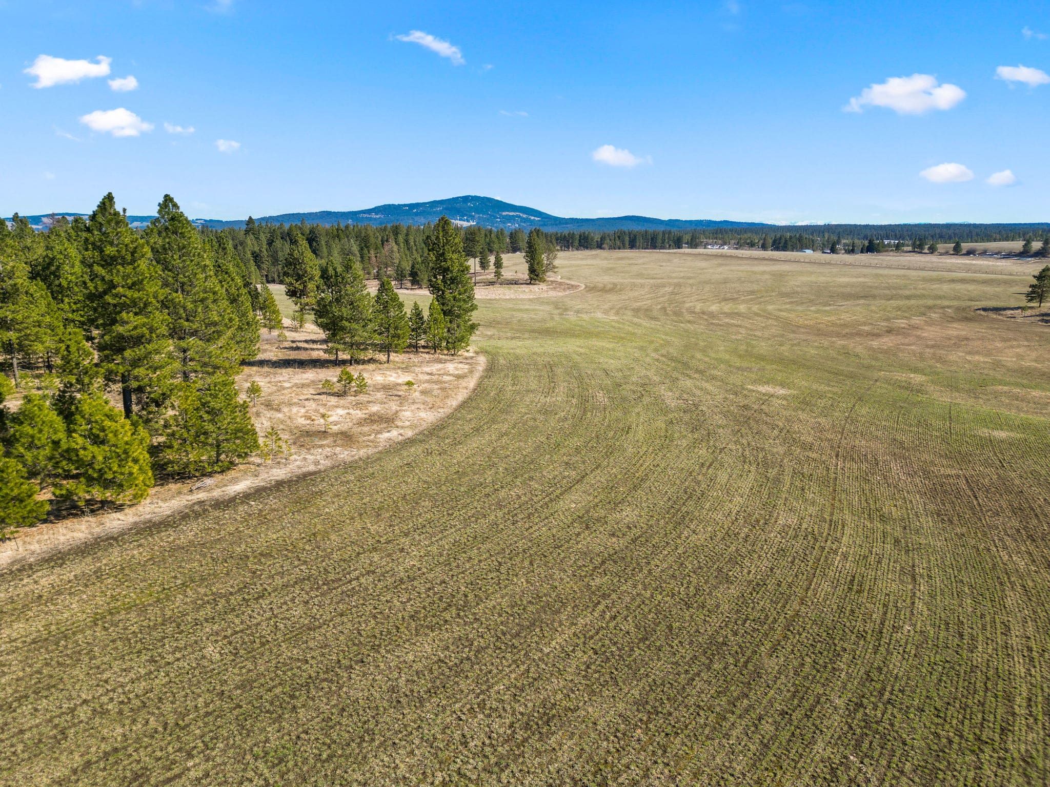 80 acres in Lewis County, Idaho