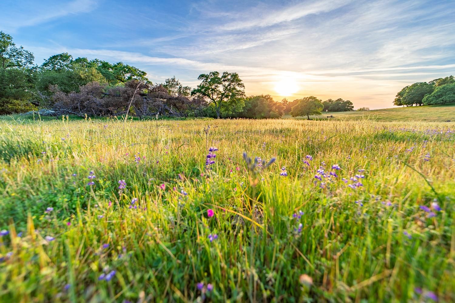 Atwood Rd, Auburn, CA 95603 MLS 224005904