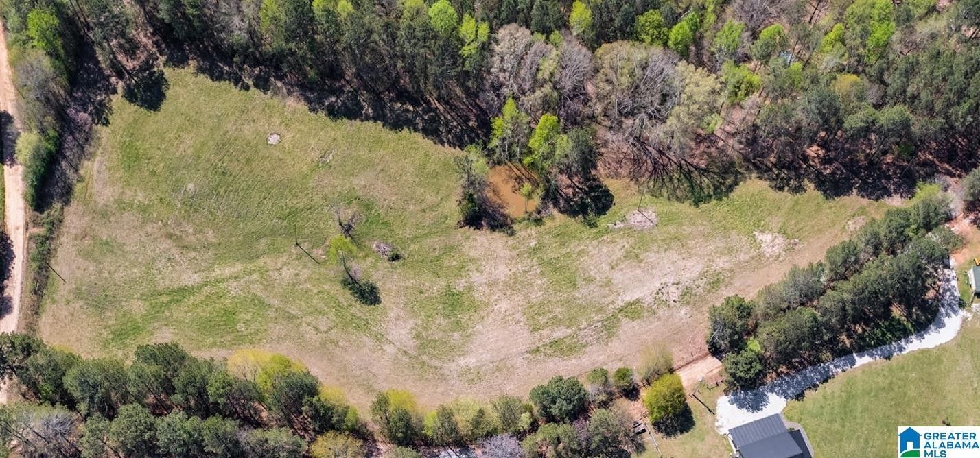 4 acres in Randolph County, Alabama