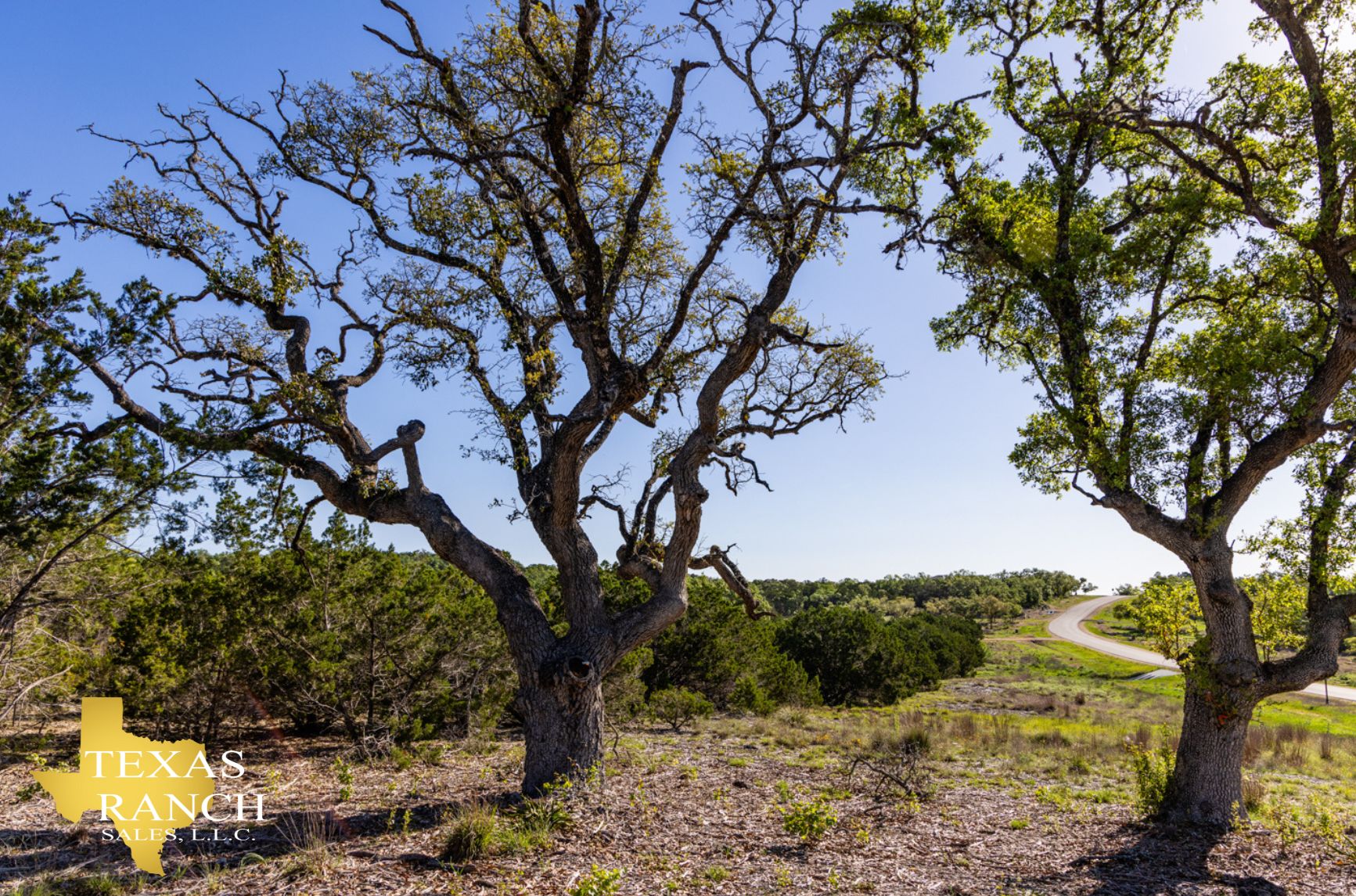 11 acres in Bulverde, TX, 78163