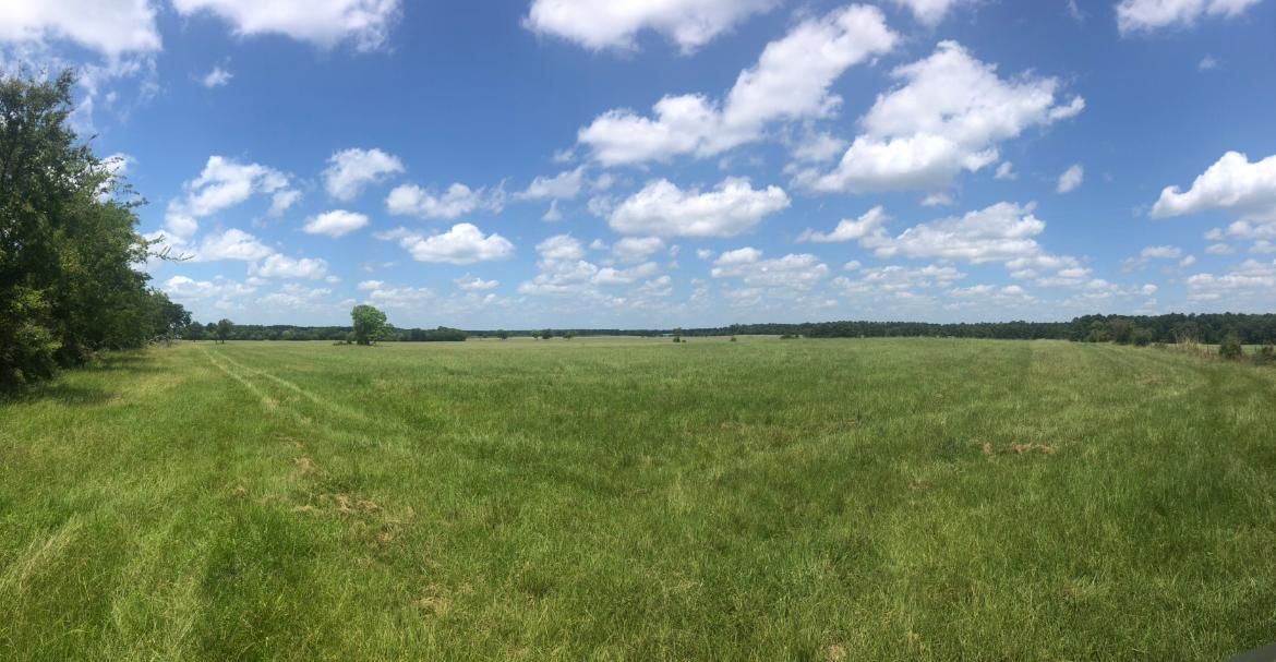 County Road 4625, Kennard, TX 75847 MLS 78994960