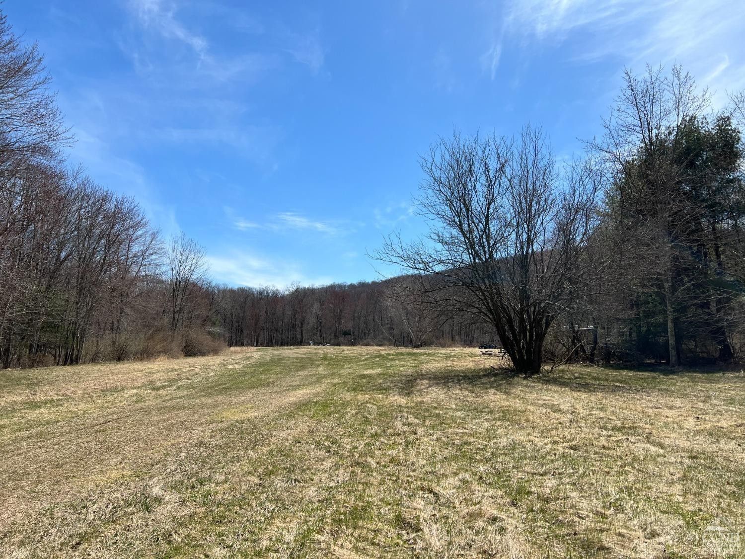 61.53 acres in Columbia County, New York