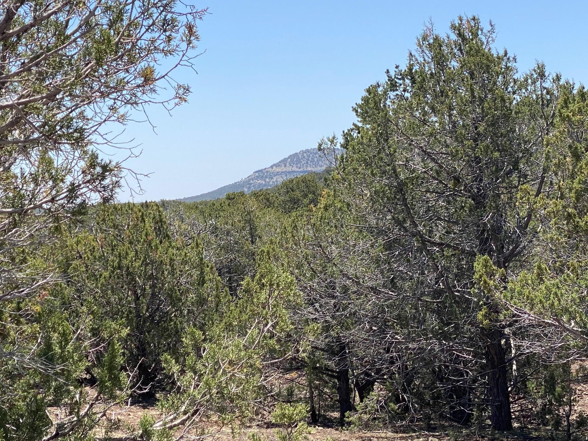 Lot 392 Westwood Ranch, Williams, AZ 86046 MLS 0203623214