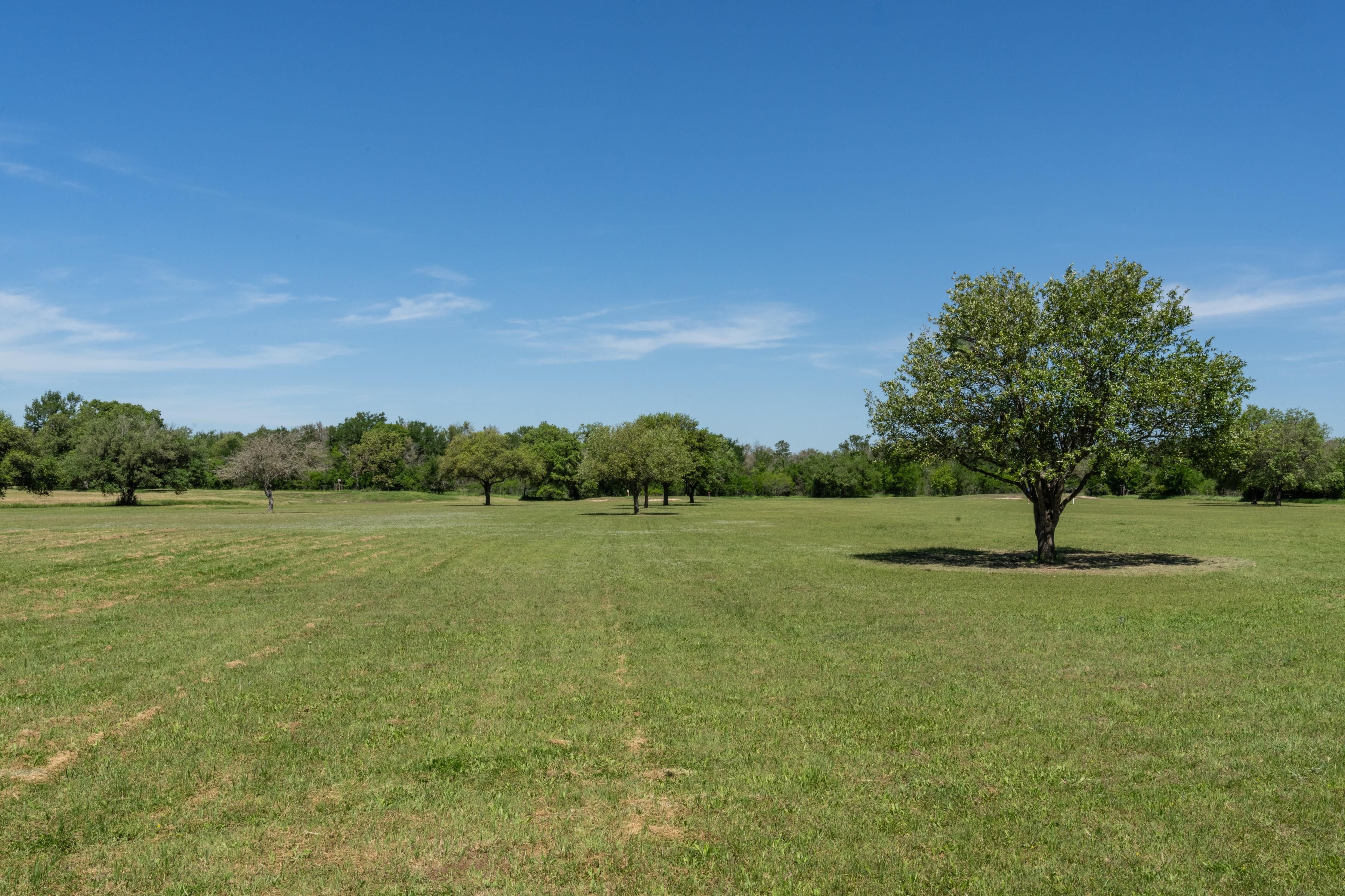 65 acres in Calvert, TX, 77837