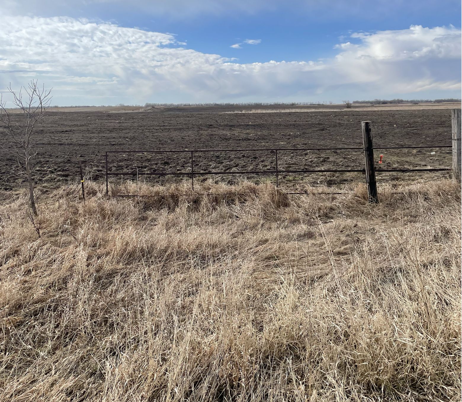 160 acres in Bottineau County, North Dakota