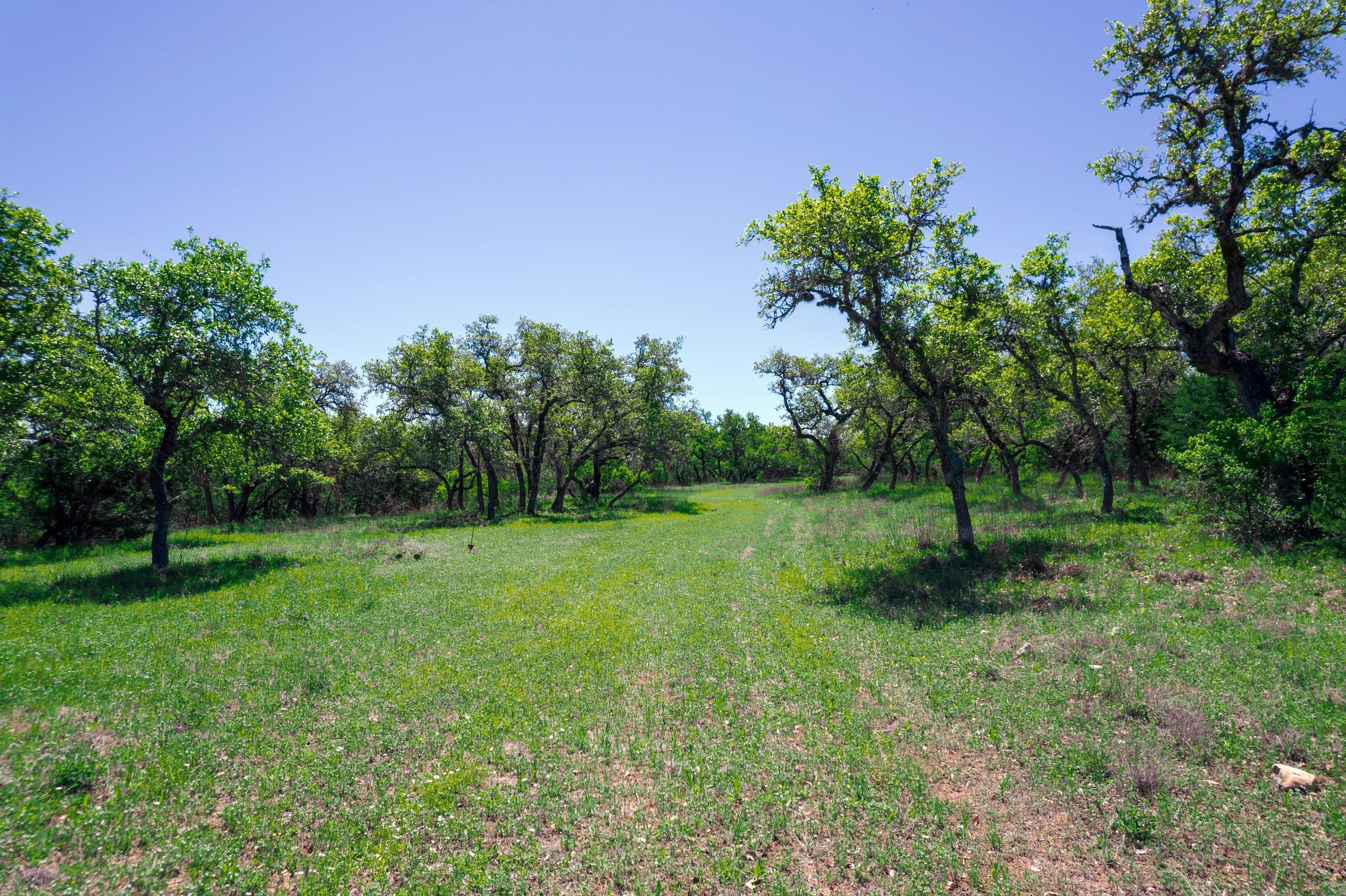 Kendall County Texas Property Search 32 - 5woszom