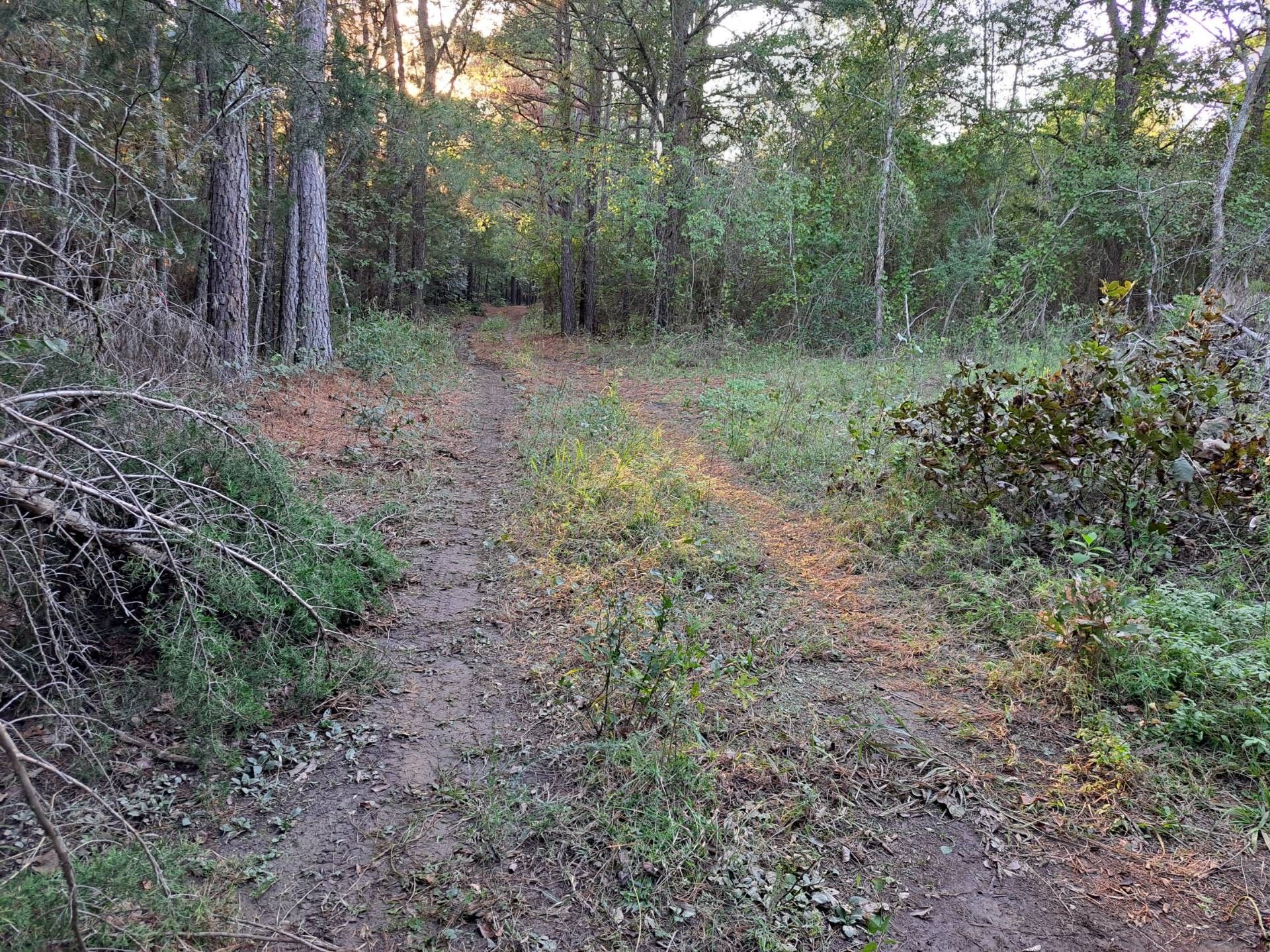 Rural SW 184th, Wilburton, OK 74578 MLS 11212093