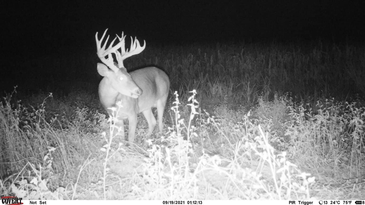 264 acres in Isola, MS, 38754