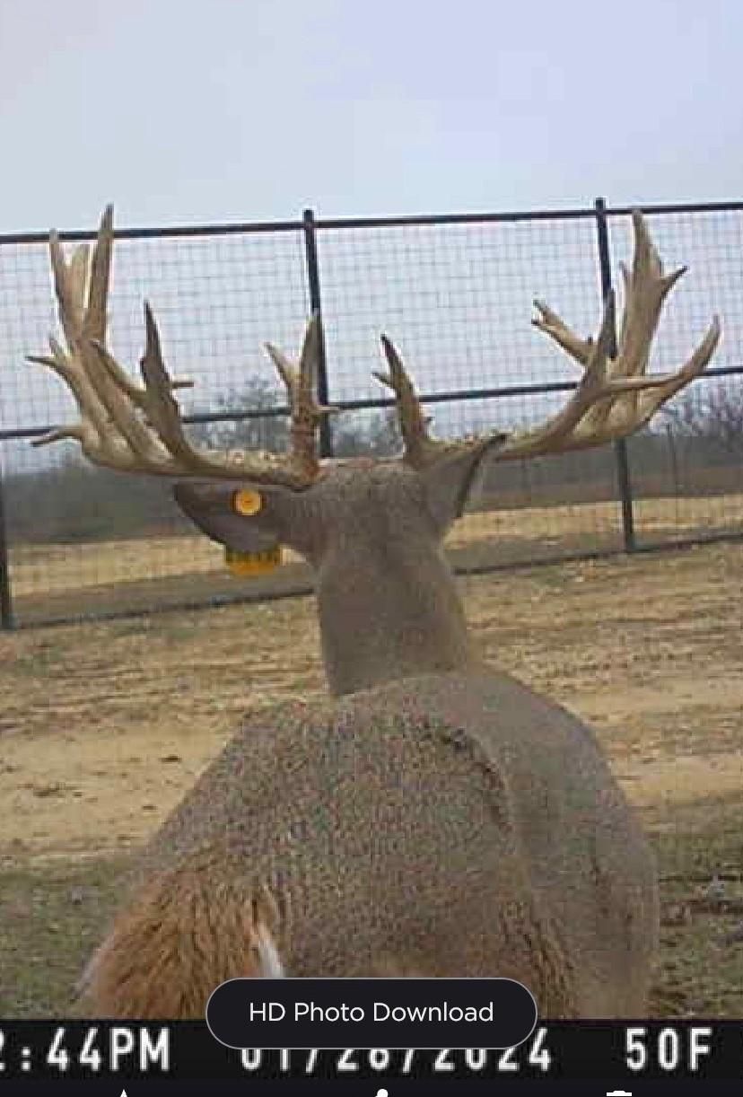 County Road 177, Sidney, TX 76474