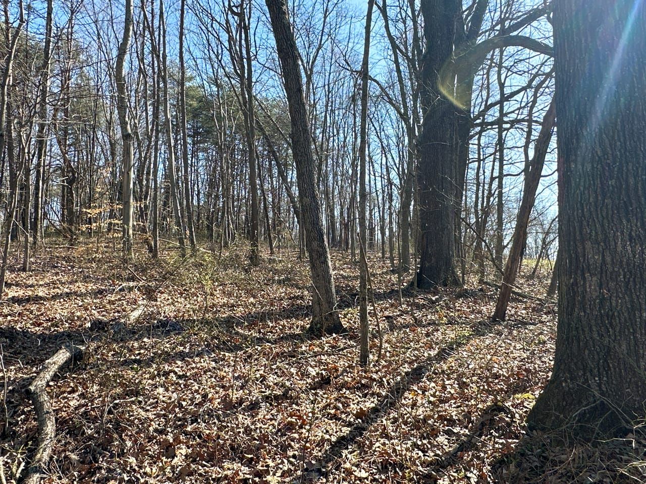 40 acres in Hocking County, Ohio