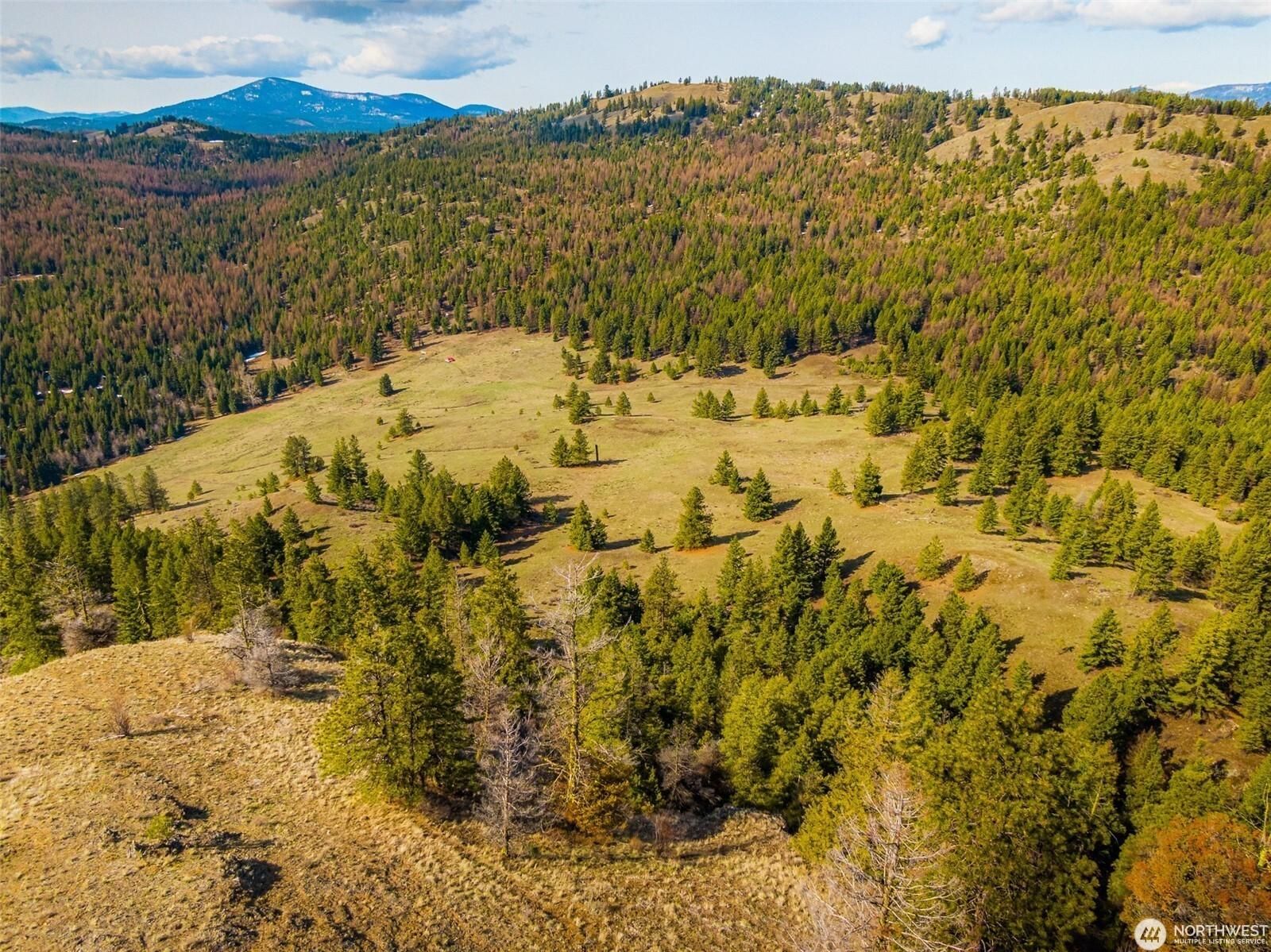 Old Stage Rd, Wauconda, WA 98859 MLS 1931308