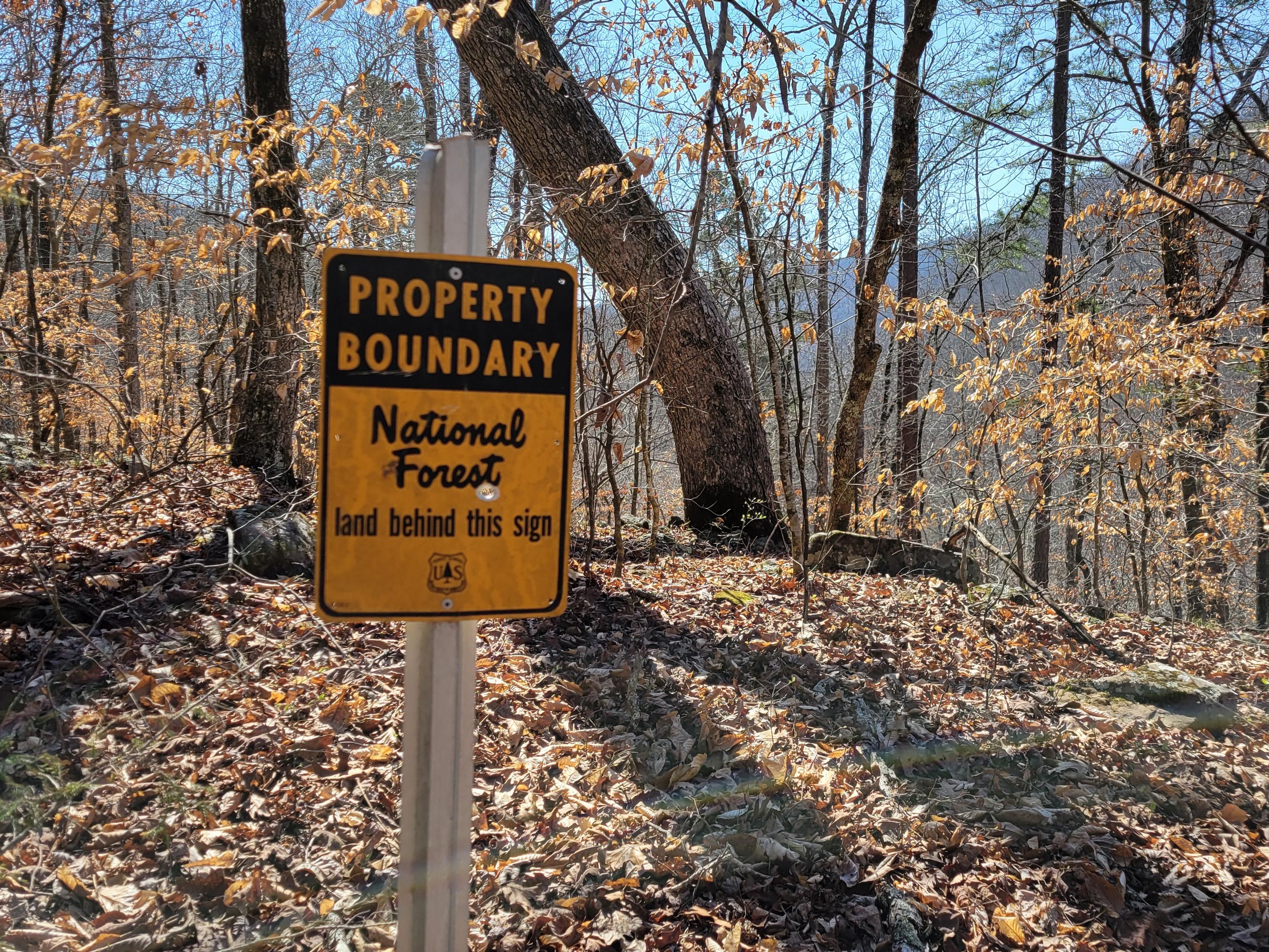 67.58 acres in Deer, AR, 72628 MLS 1271094