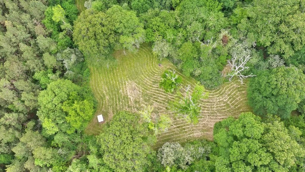 27 acres in Walthall County, Mississippi