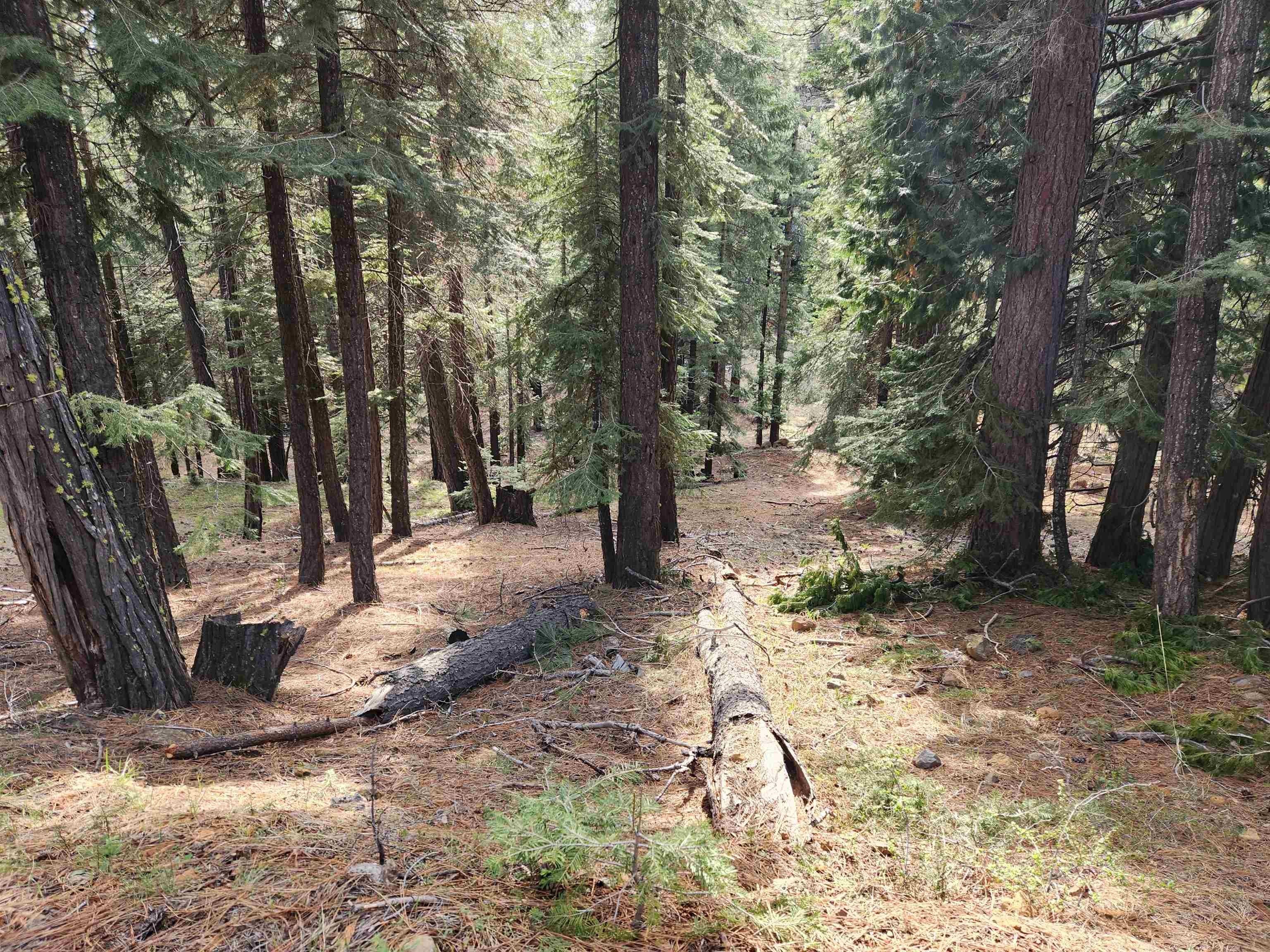0.76 acres in Plumas County, California