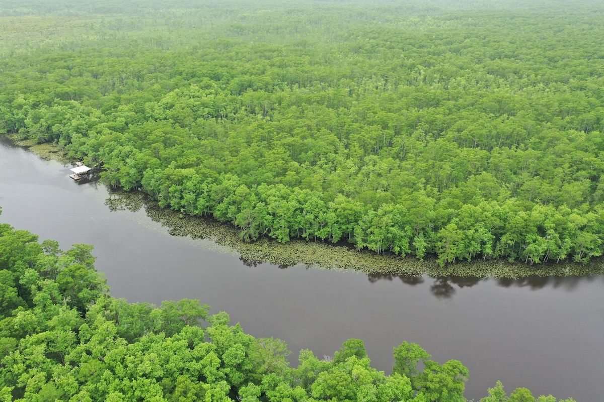 Natalbany River, LotWP001, Springfield, LA 70462