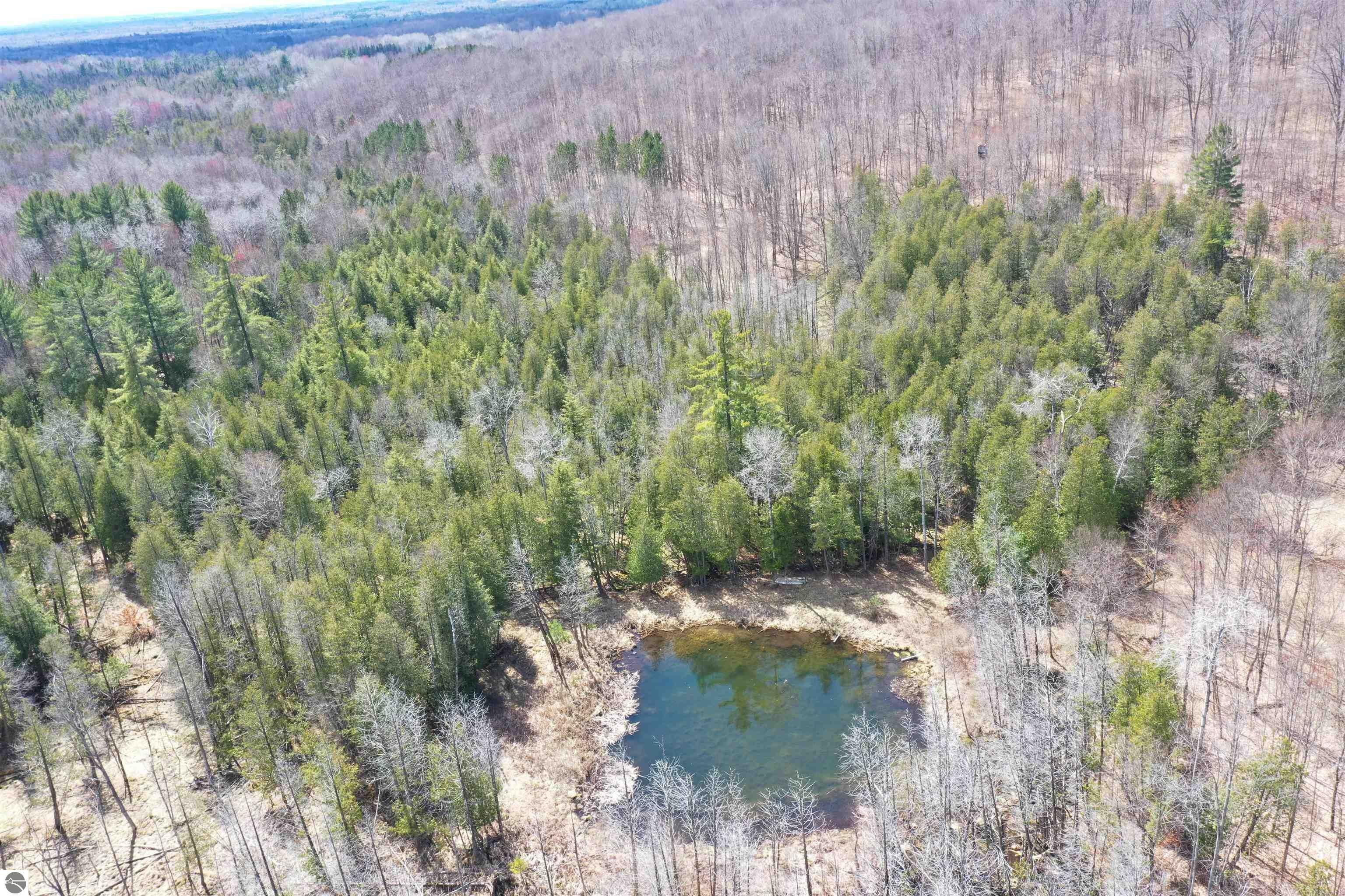 40 acres in Ogemaw County, Michigan
