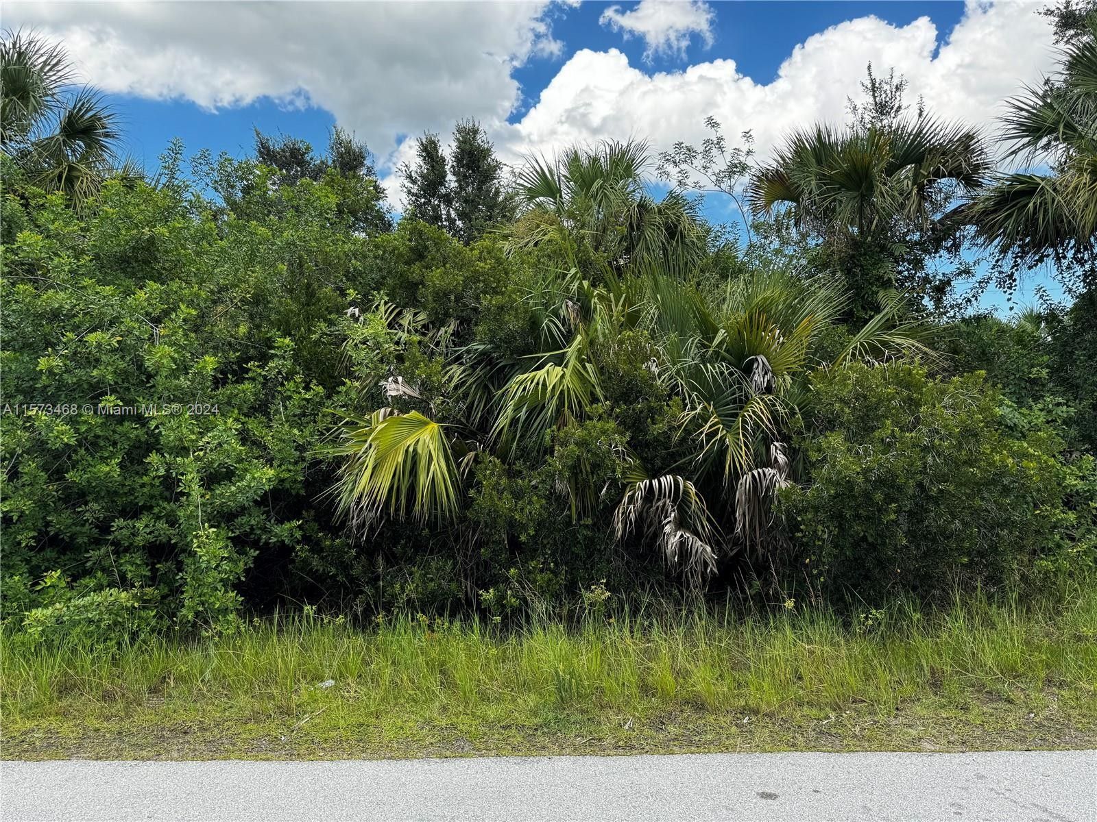 0.23 acres in Brevard County, Florida