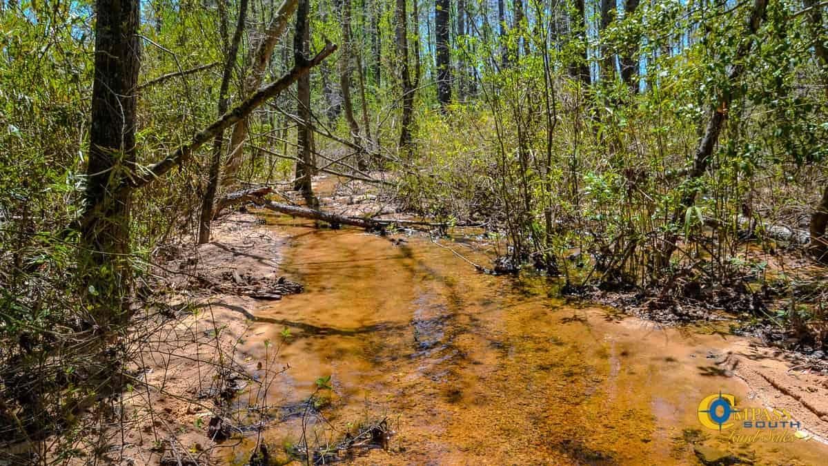 48 acres in Jefferson, SC, 29718