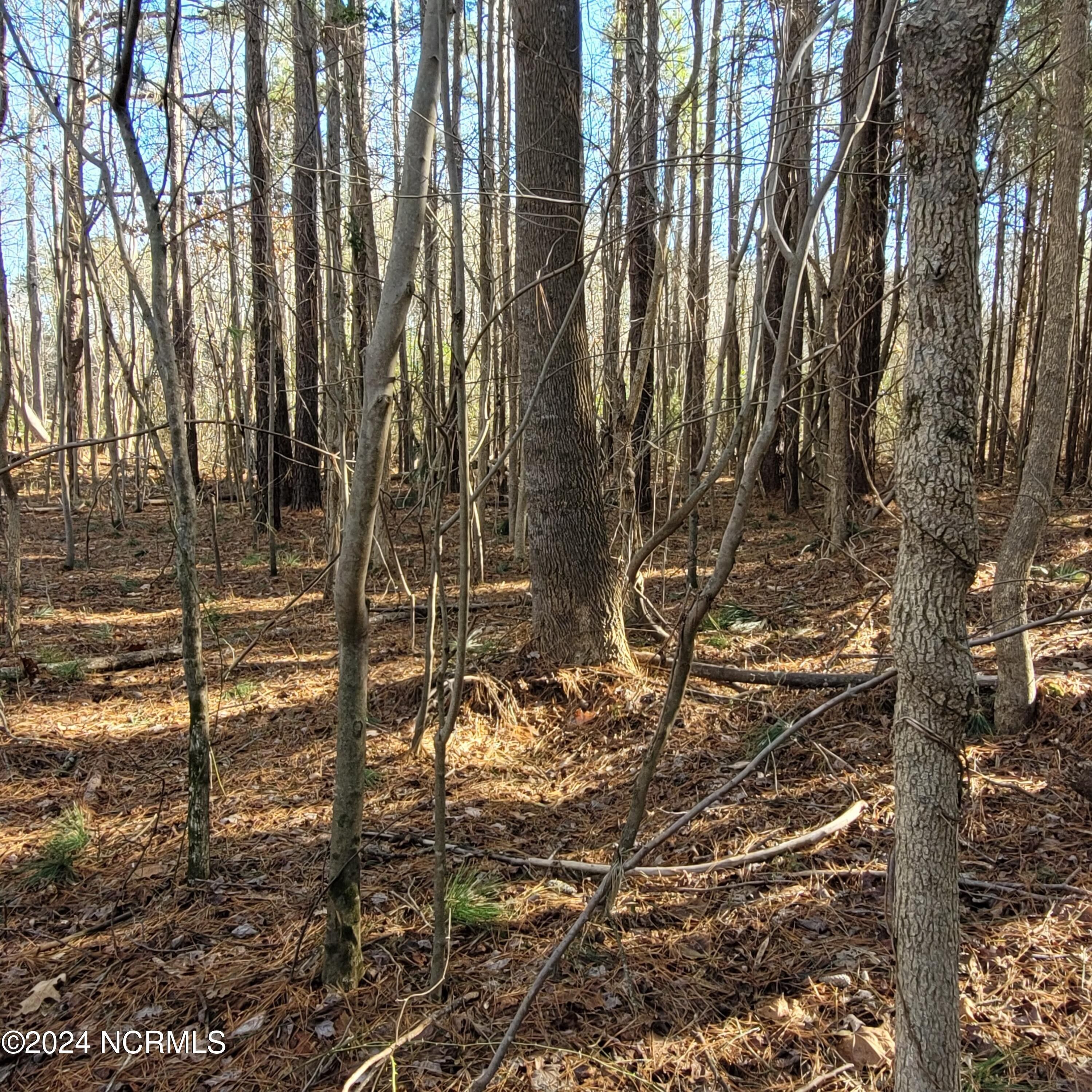 1.99 acres in Gates County, North Carolina